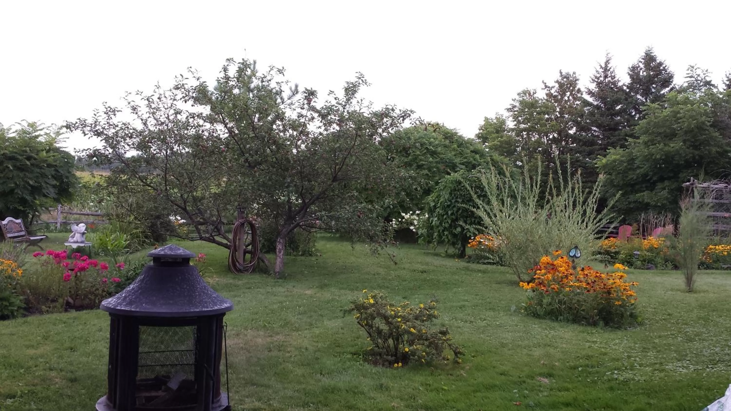 Garden view in Atelier Galerie Anne Drouin Peinture & Pension