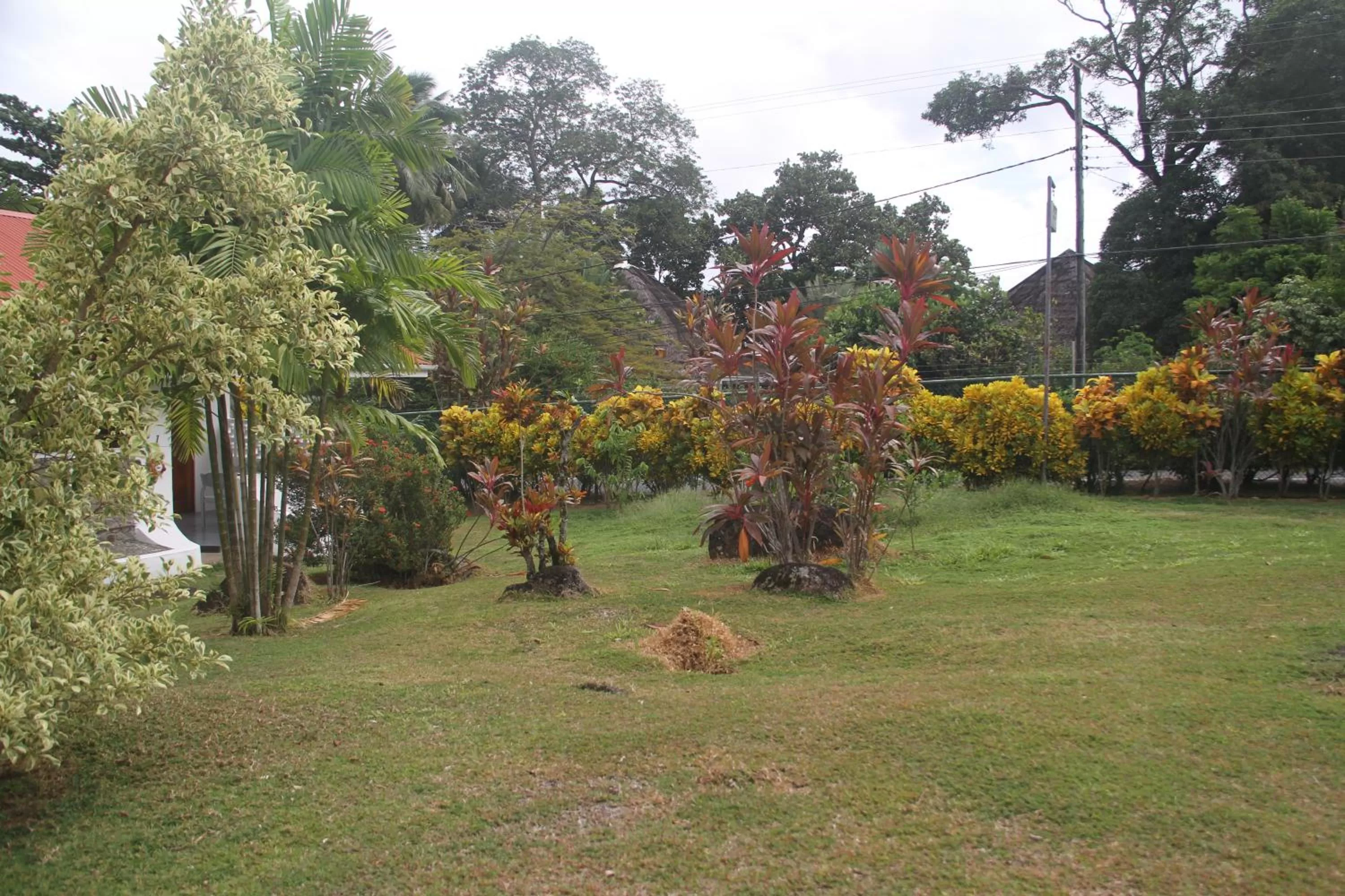 Garden in Daniella's Bungalows