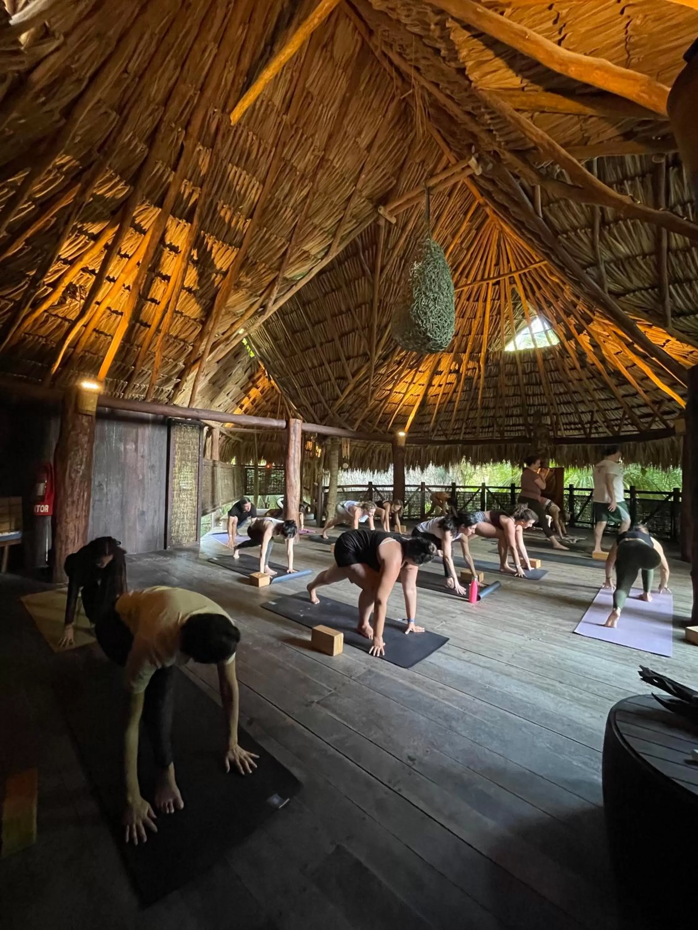 group of guests in Sueños Tulum