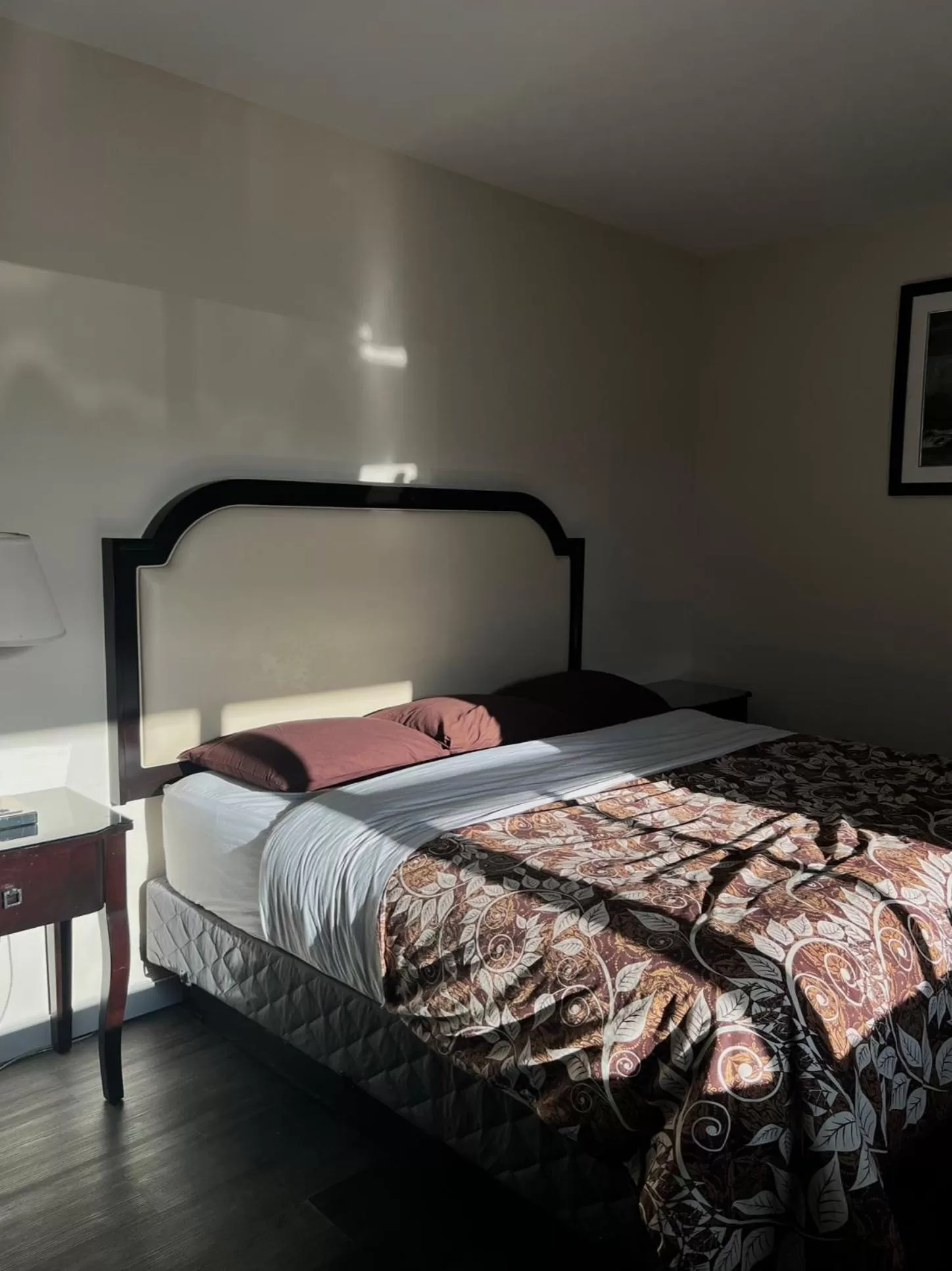 Deluxe King Suite in Big Bird Inn Wawa, SureStay Collection by Best Western