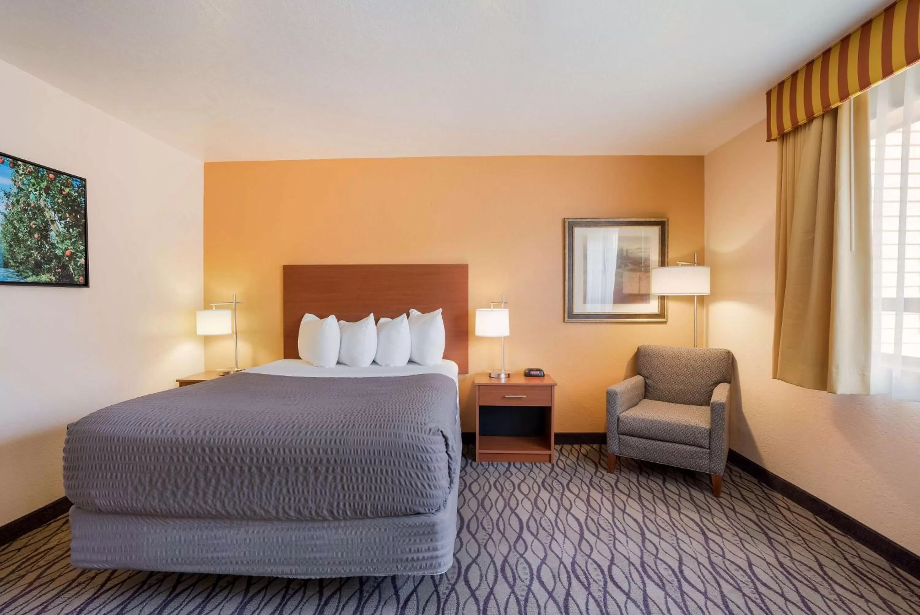 Bedroom, Bed in SureStay Hotel by Best Western Wenatchee