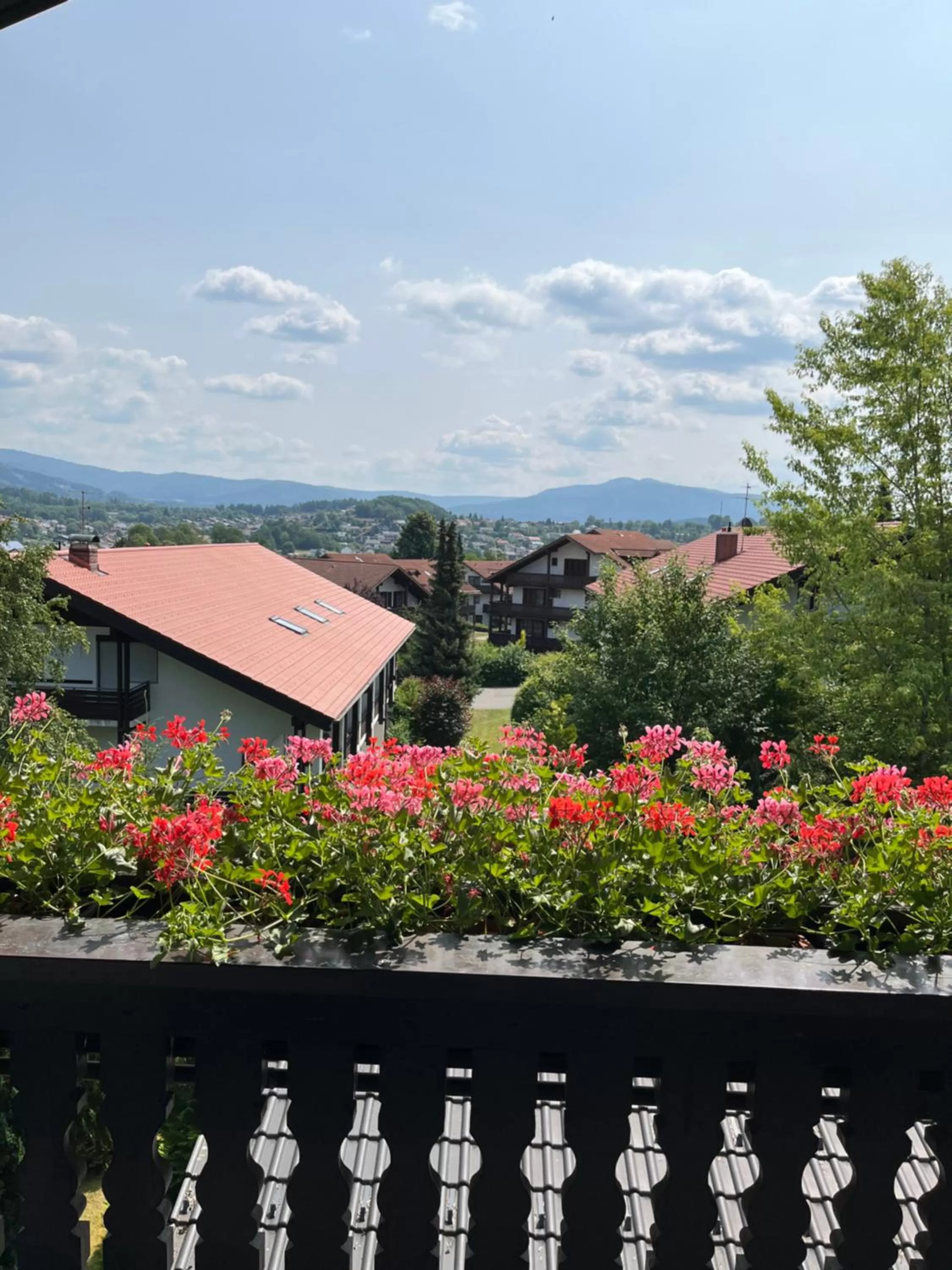 Property building in Hotel Sonnenhof - Superior