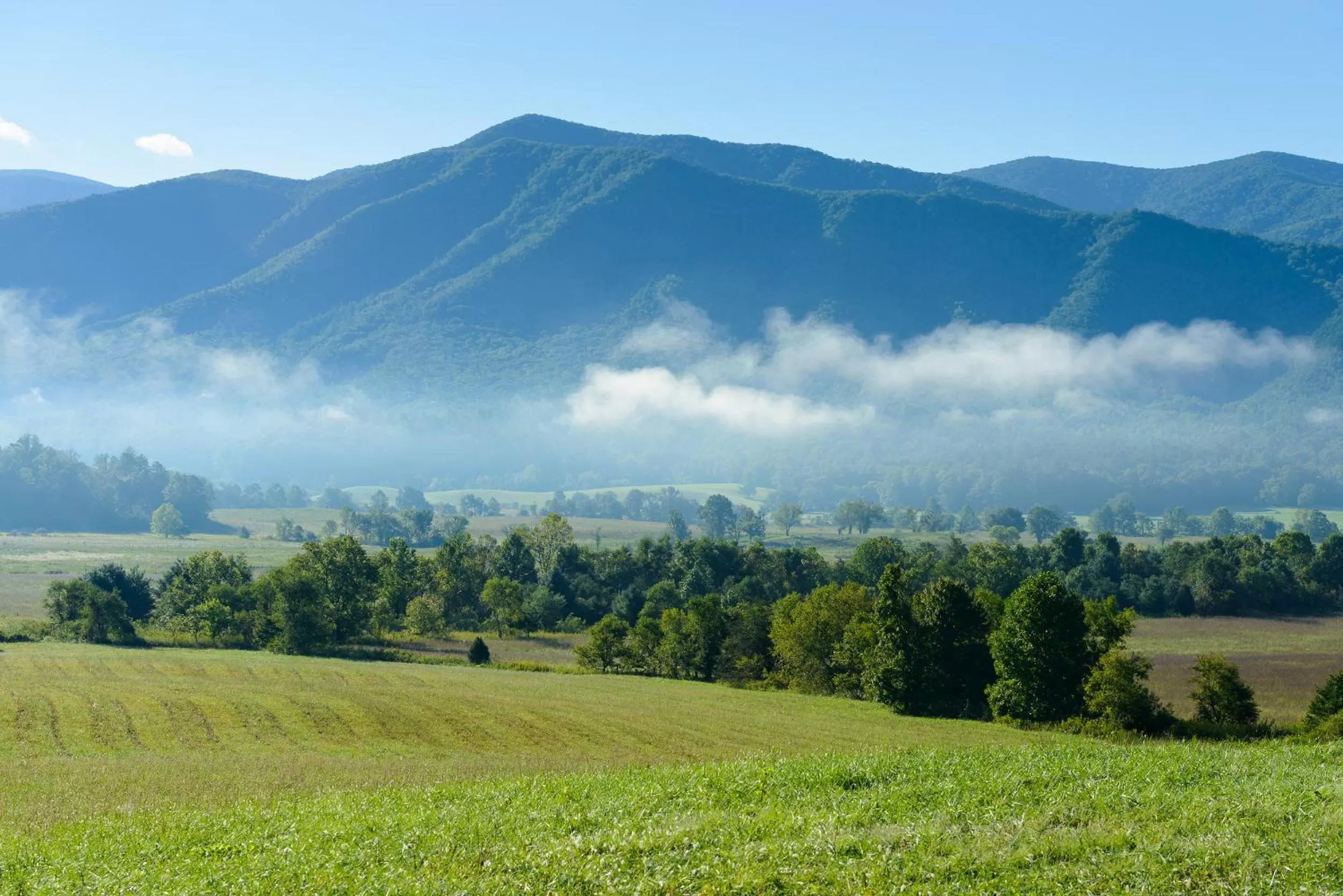 Area and facilities in River Terrace Resort & Convention Center