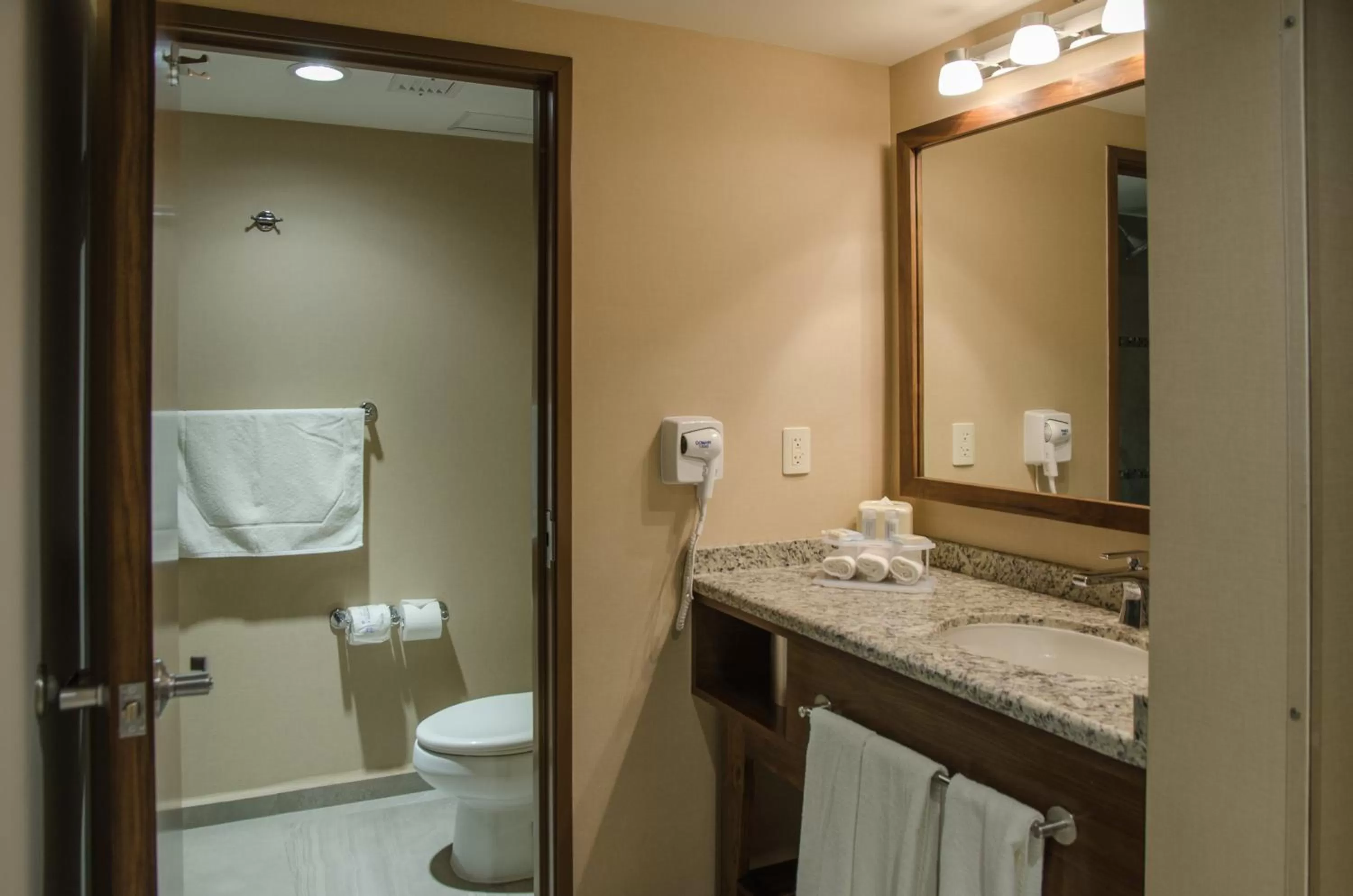 Bathroom in Holiday Inn Express and Suites Celaya by IHG