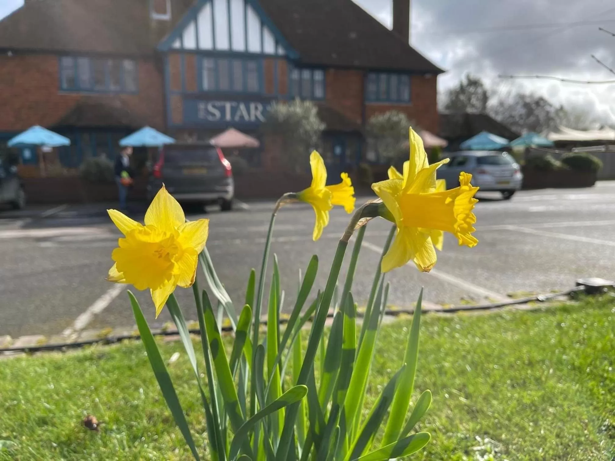 Property building in The Star Inn