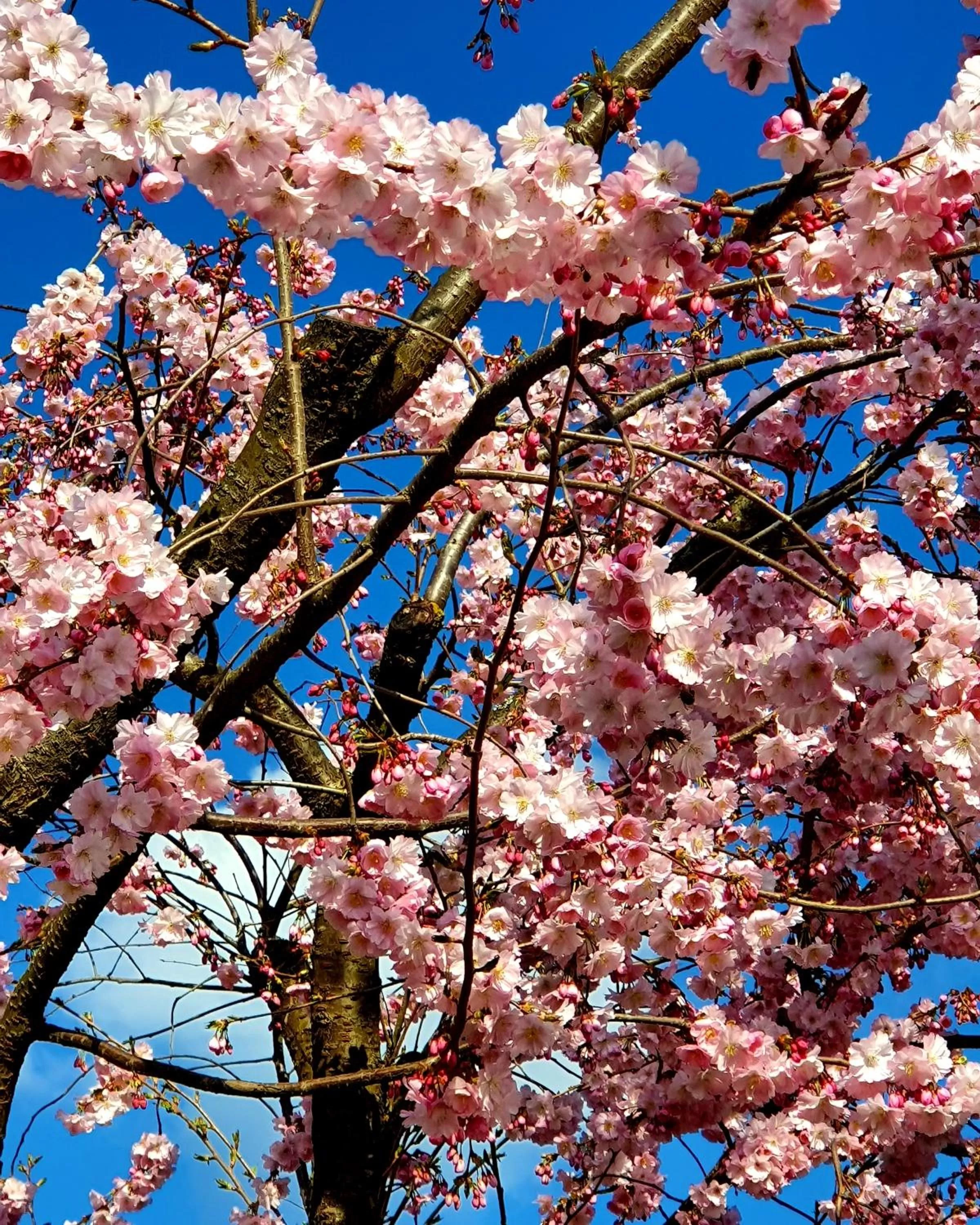 Neighbourhood in Hotel in den Herrnwiesen