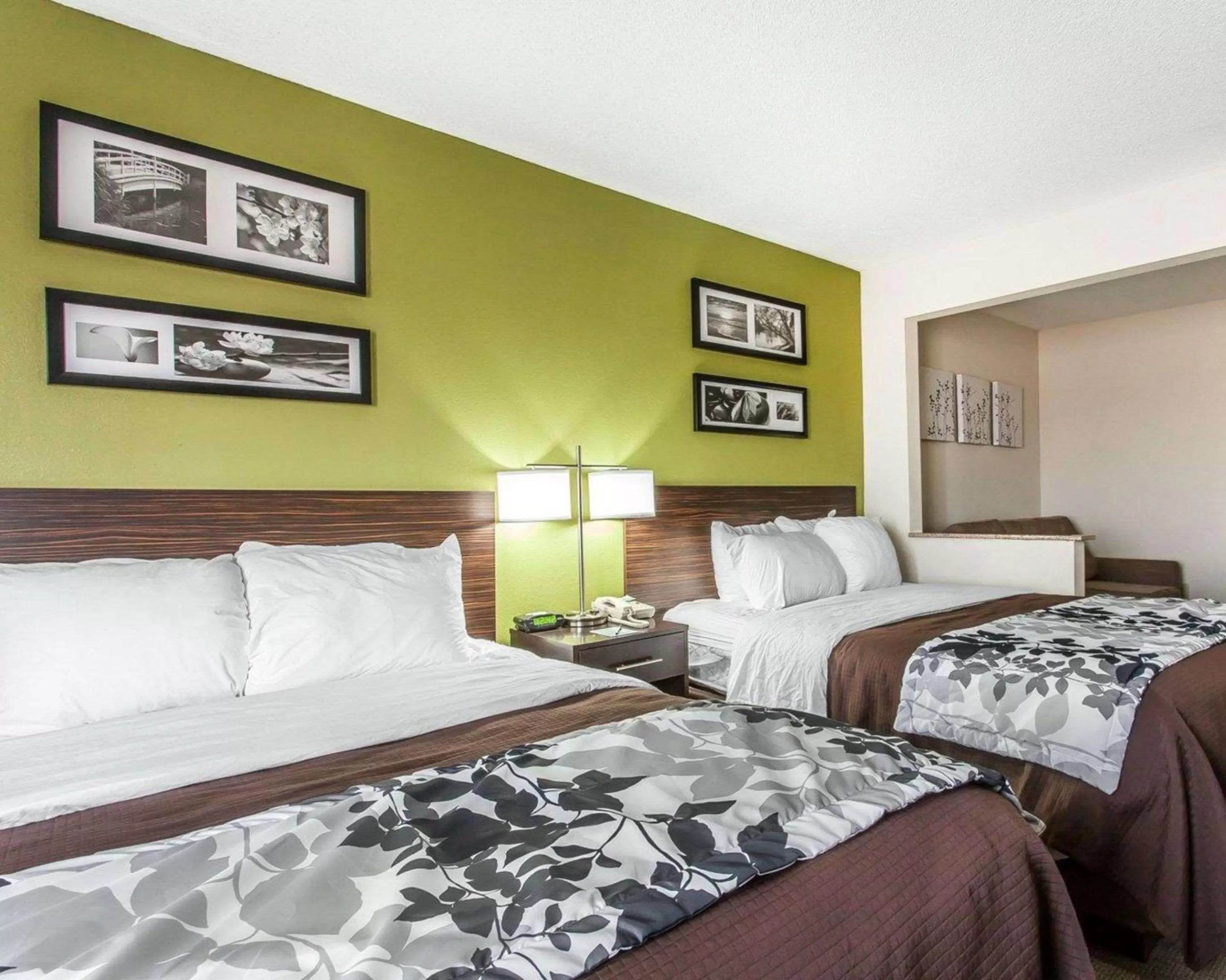 Photo of the whole room, Bed in Sleep Inn & Suites Near I-90 and Ashtabula