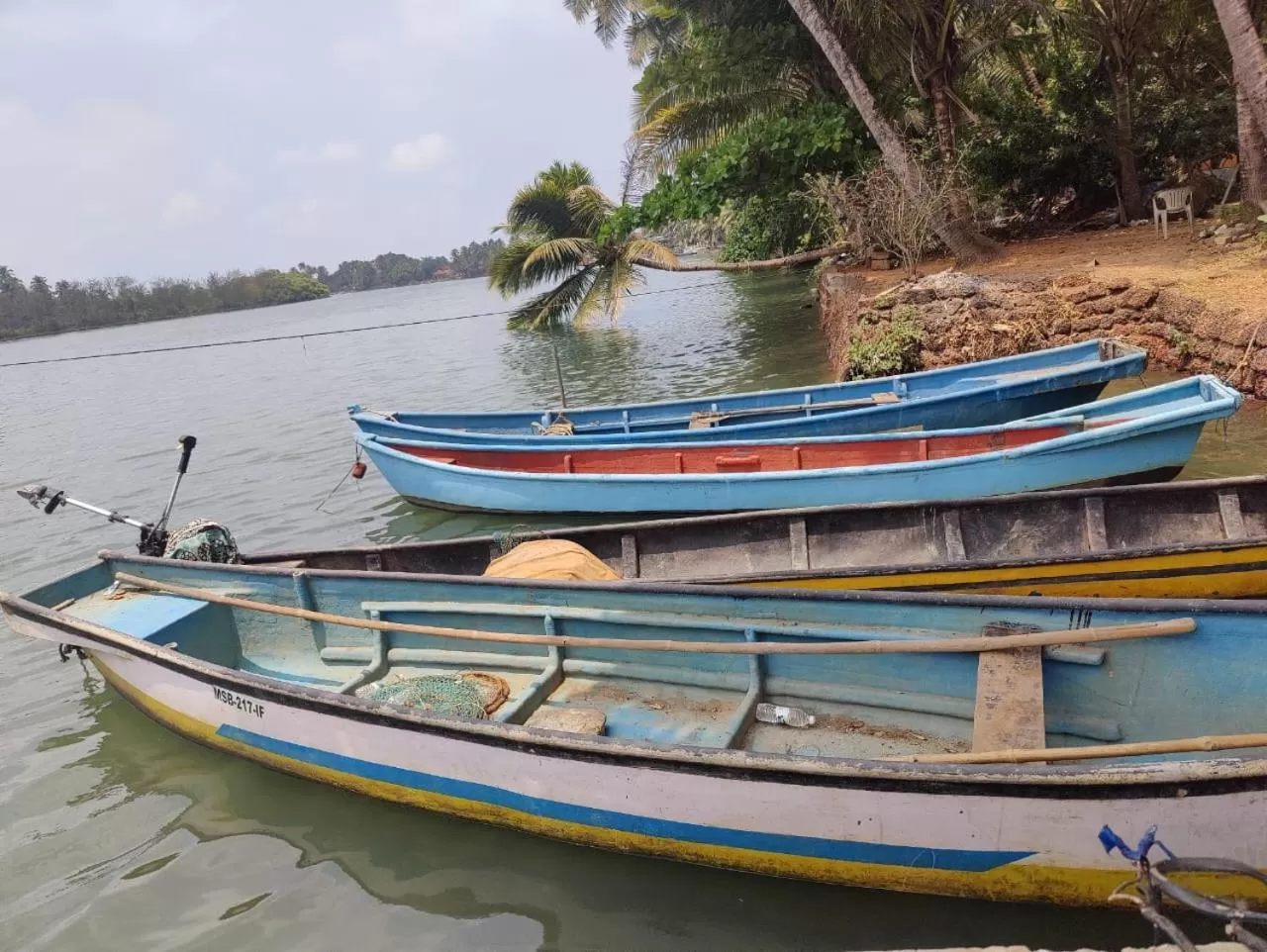 Activities in M aples Jacks Place