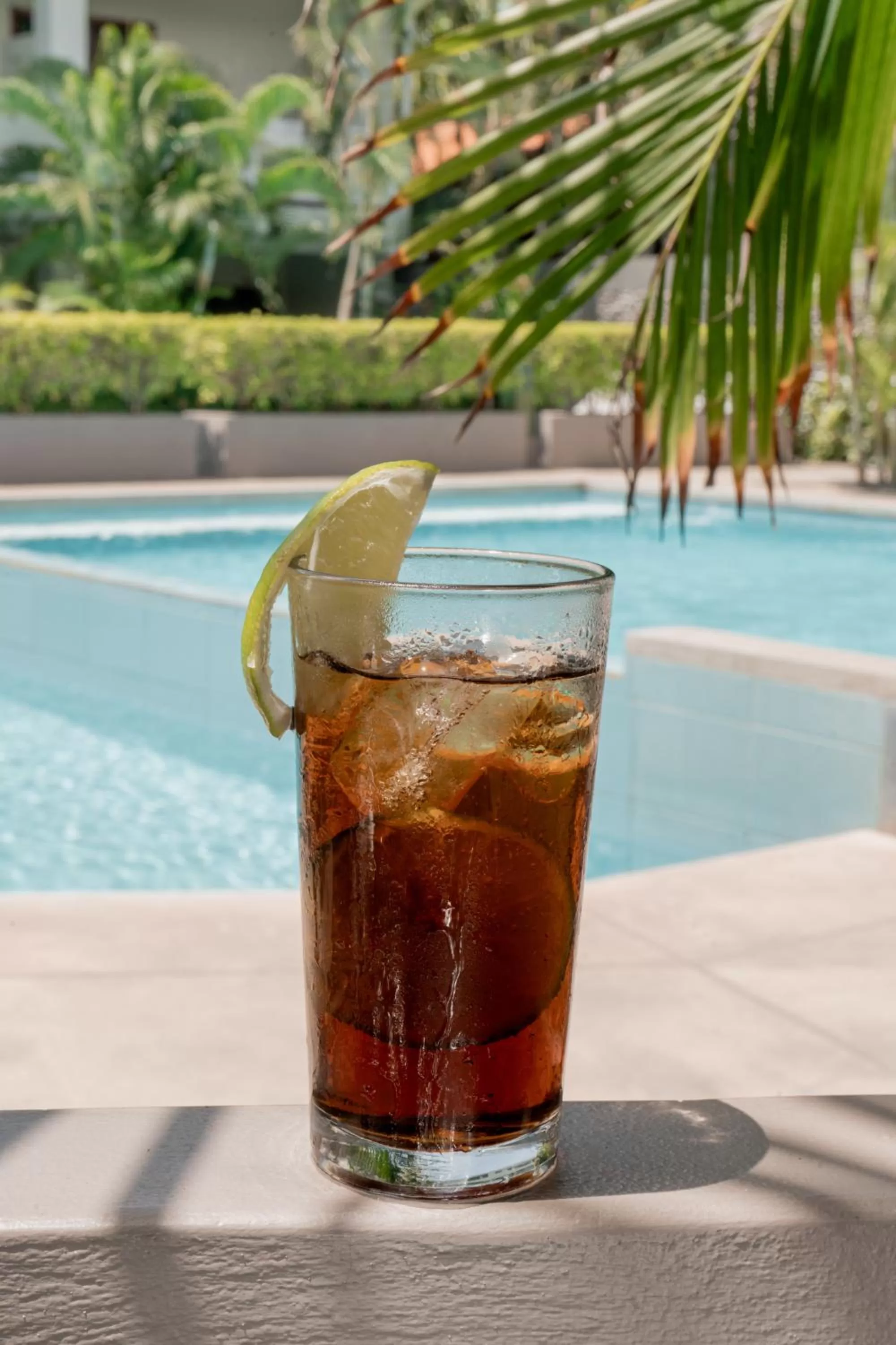 Drinks in Hotel Roca Sunzal