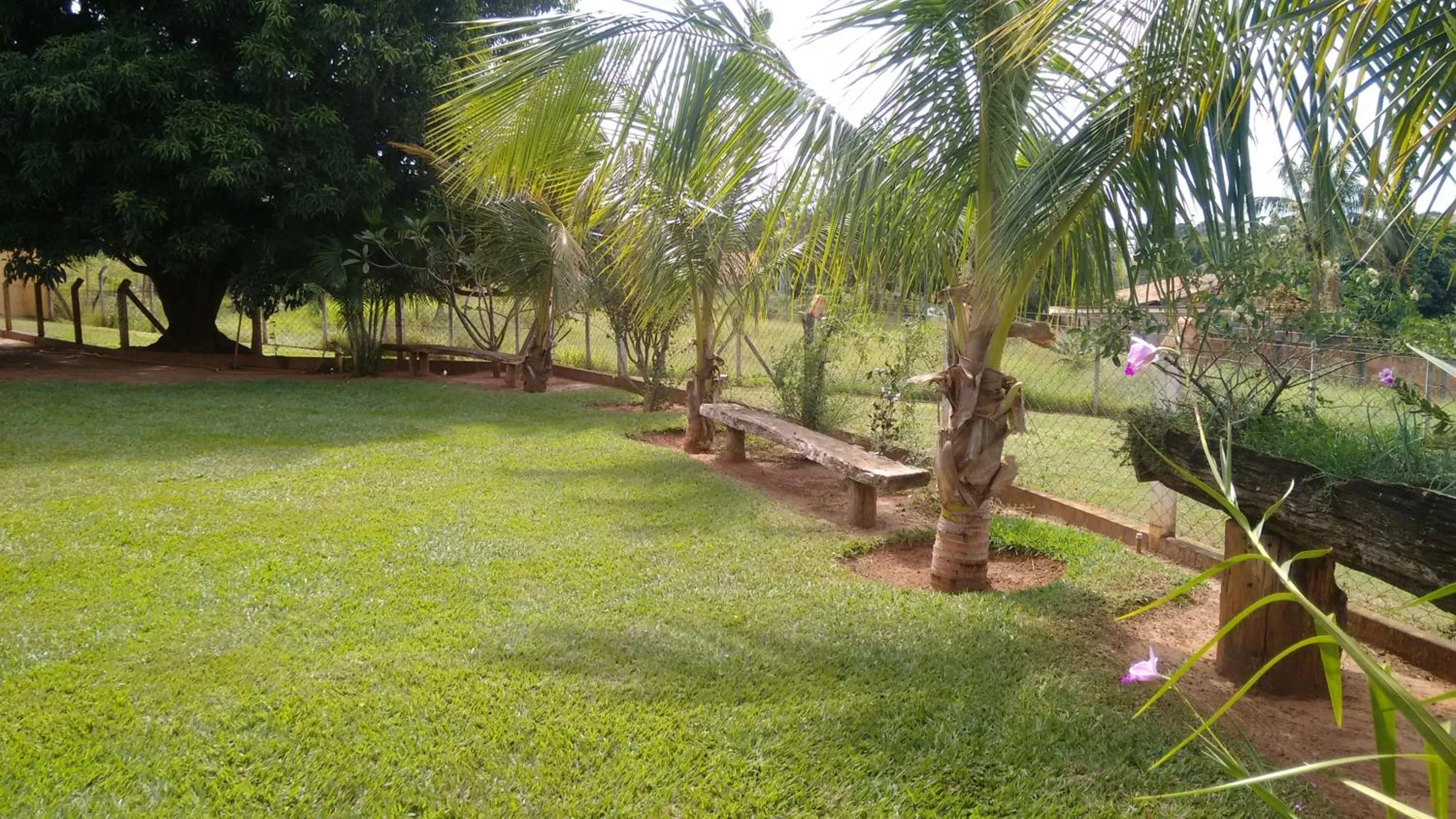 Garden in Pousada Sorocabana