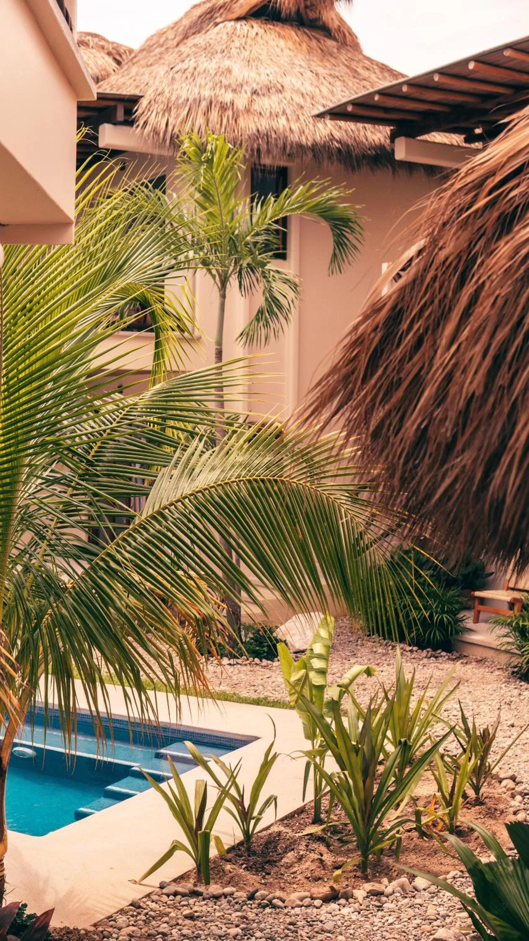 Pool view in Casa Kuaa