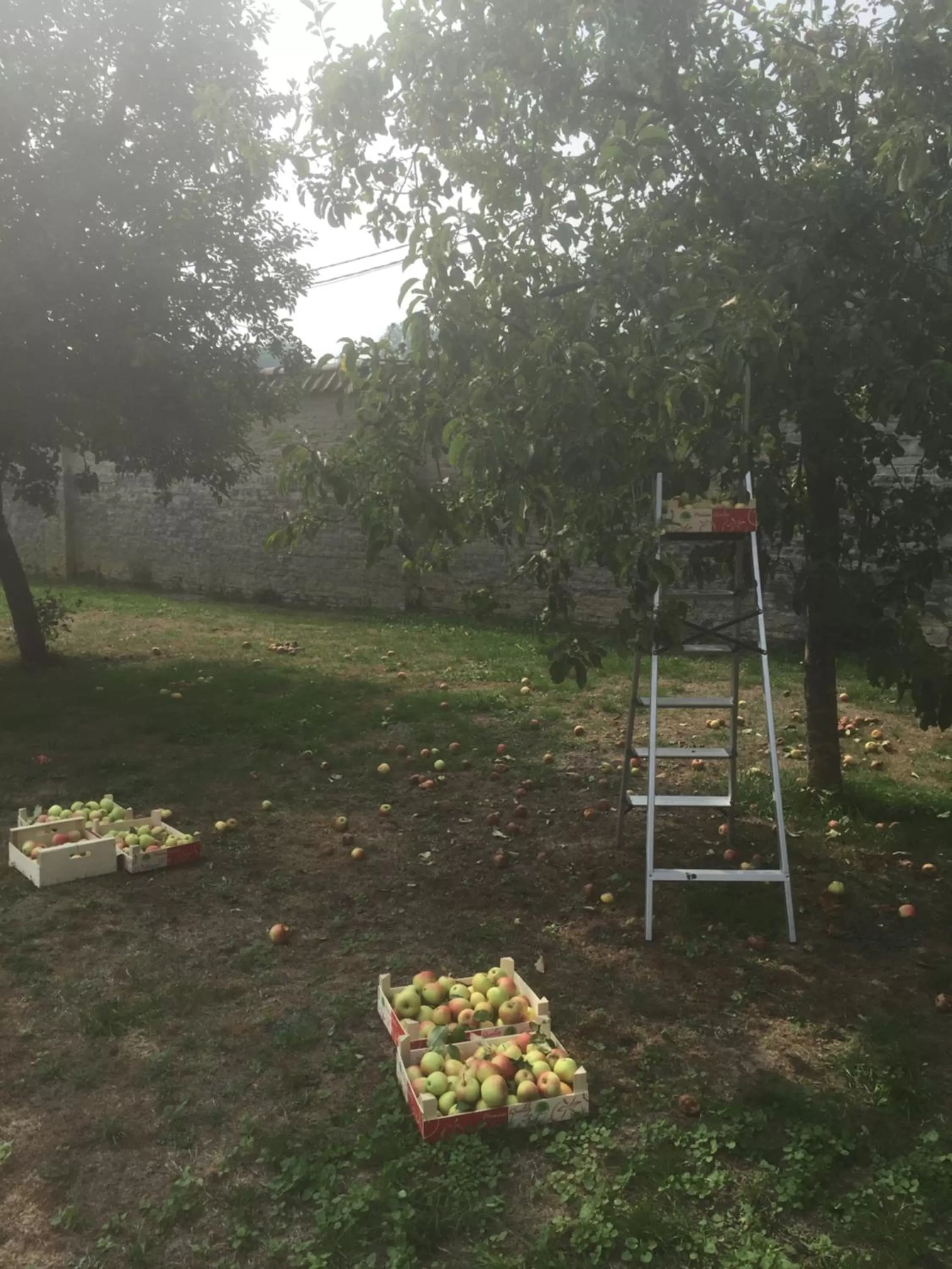 Summer in B&B Baron’s House Neerijse-Leuven