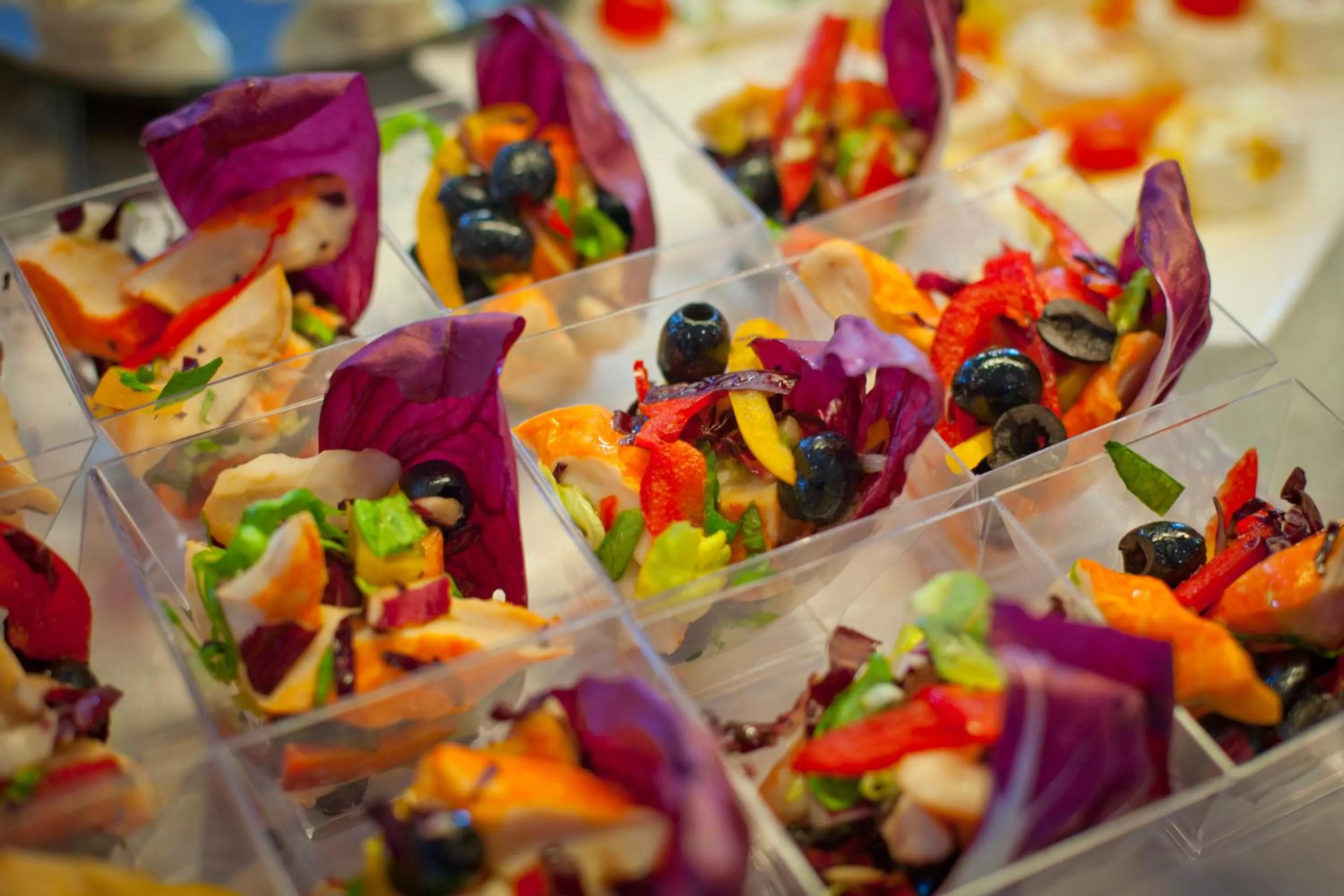 Food and drinks in Tulip Inn Turin South