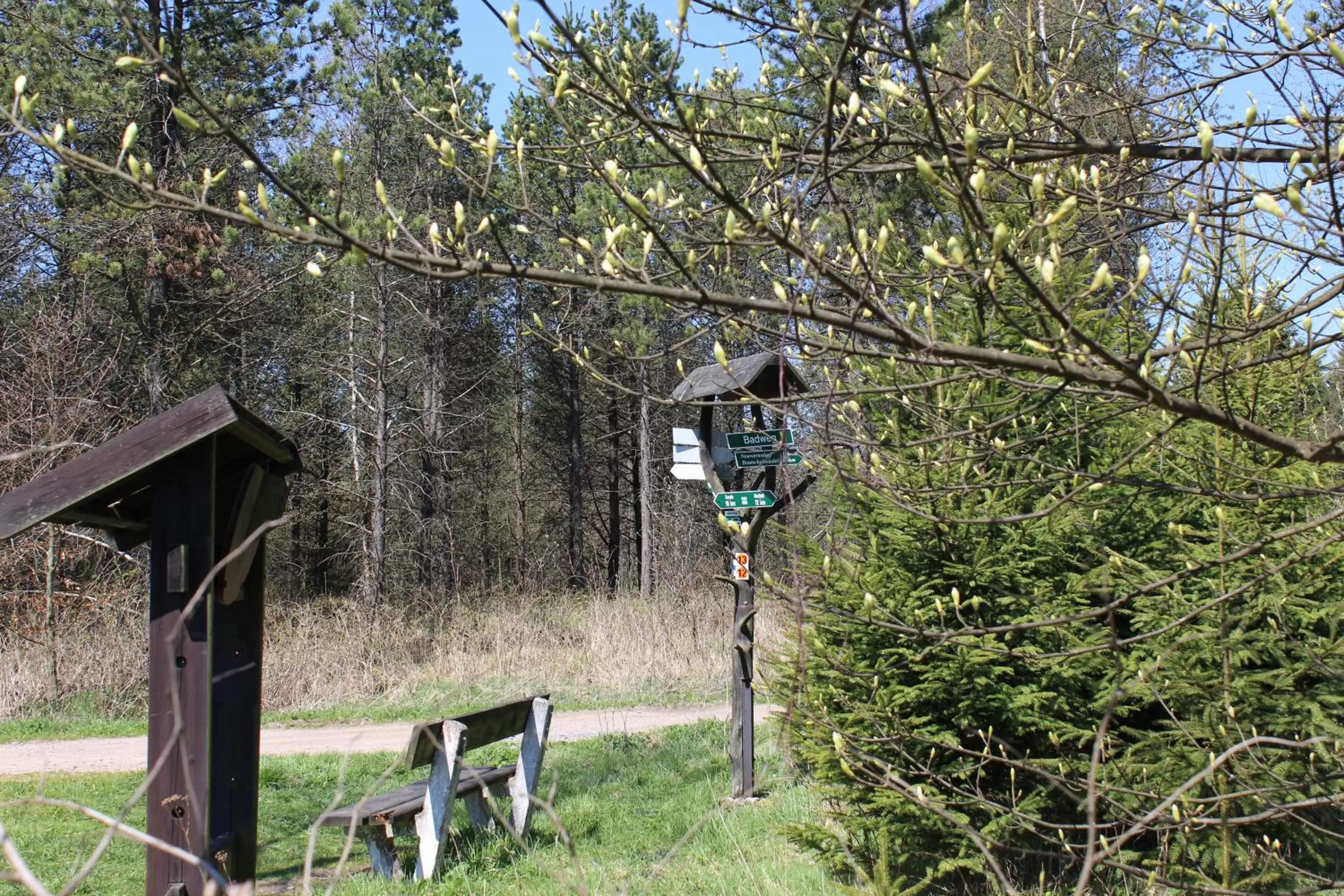 Natural landscape, Other Animals in Waldgasthof Bad Einsiedel