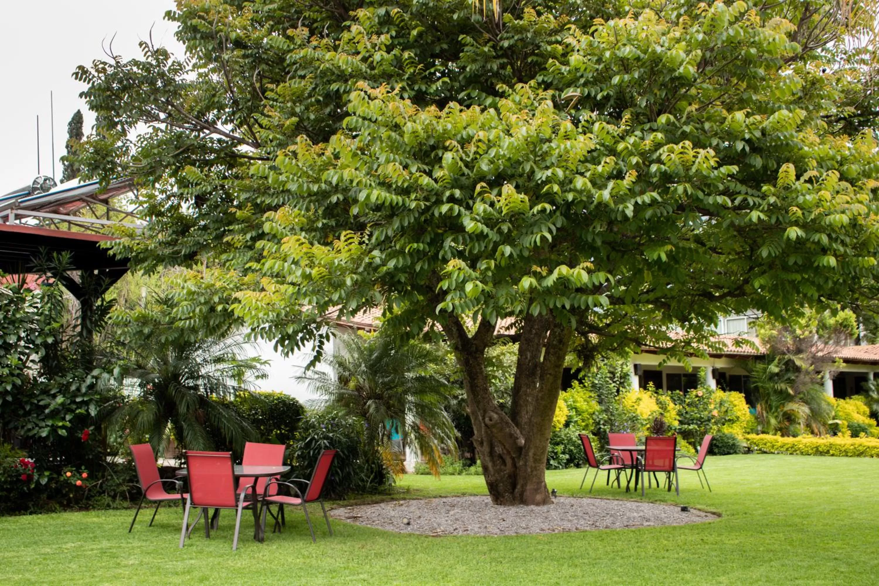 Garden view in Posada La Presa