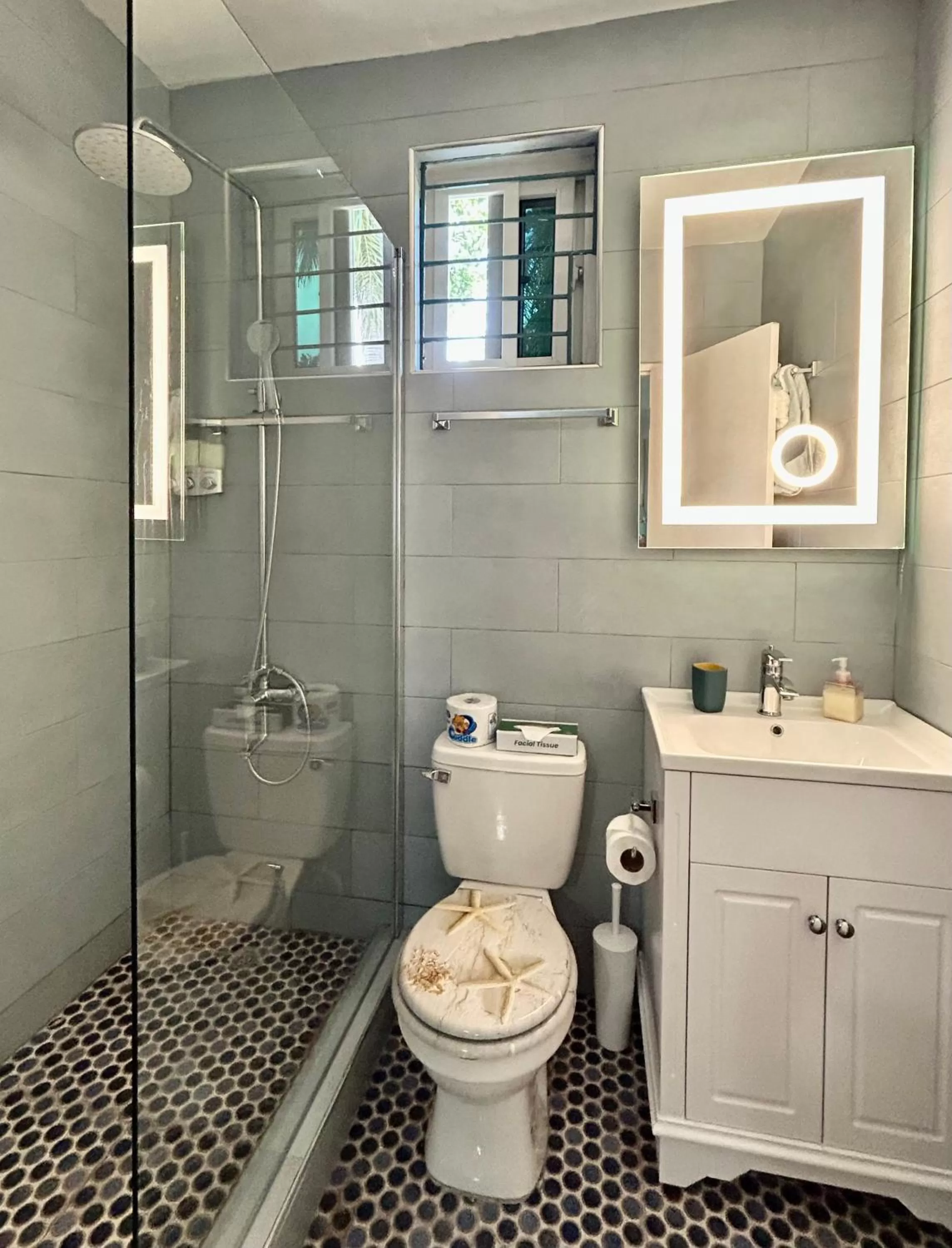 Shower, Bathroom in The Blue Orchid B&B