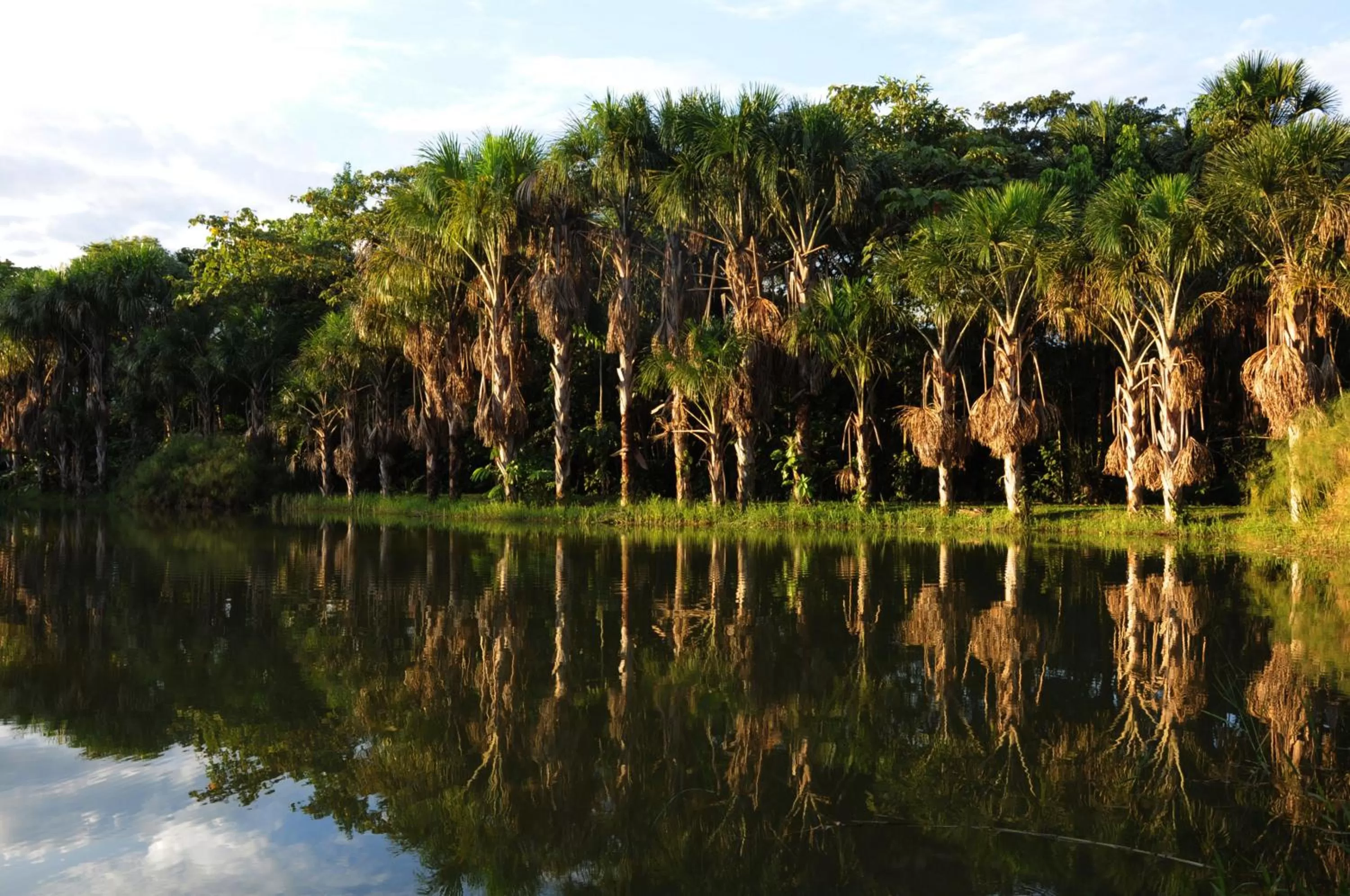 Ecolodge Cosmogénesis