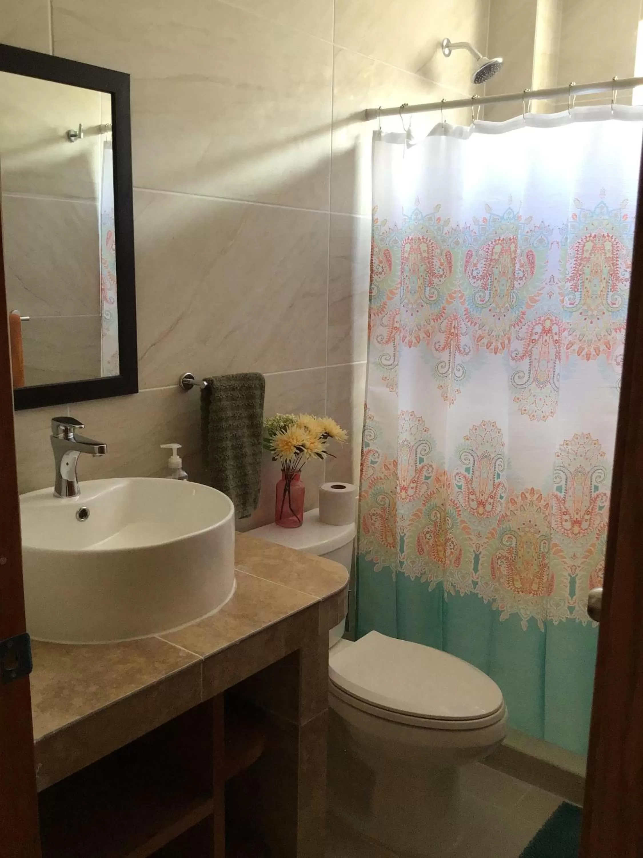 Shower in Bed and Breakfast Pecarí