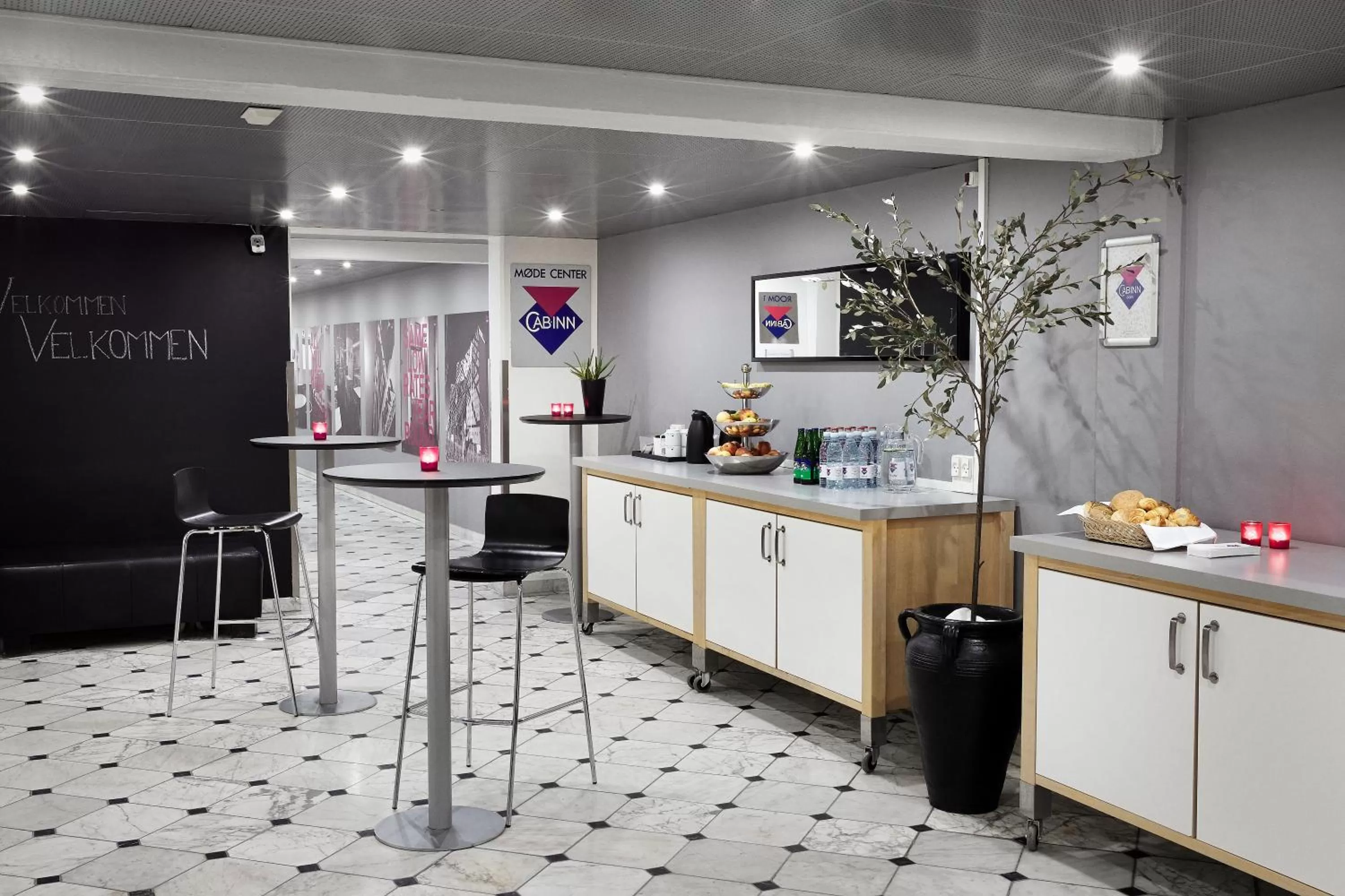 Area and facilities in Cabinn Scandinavia