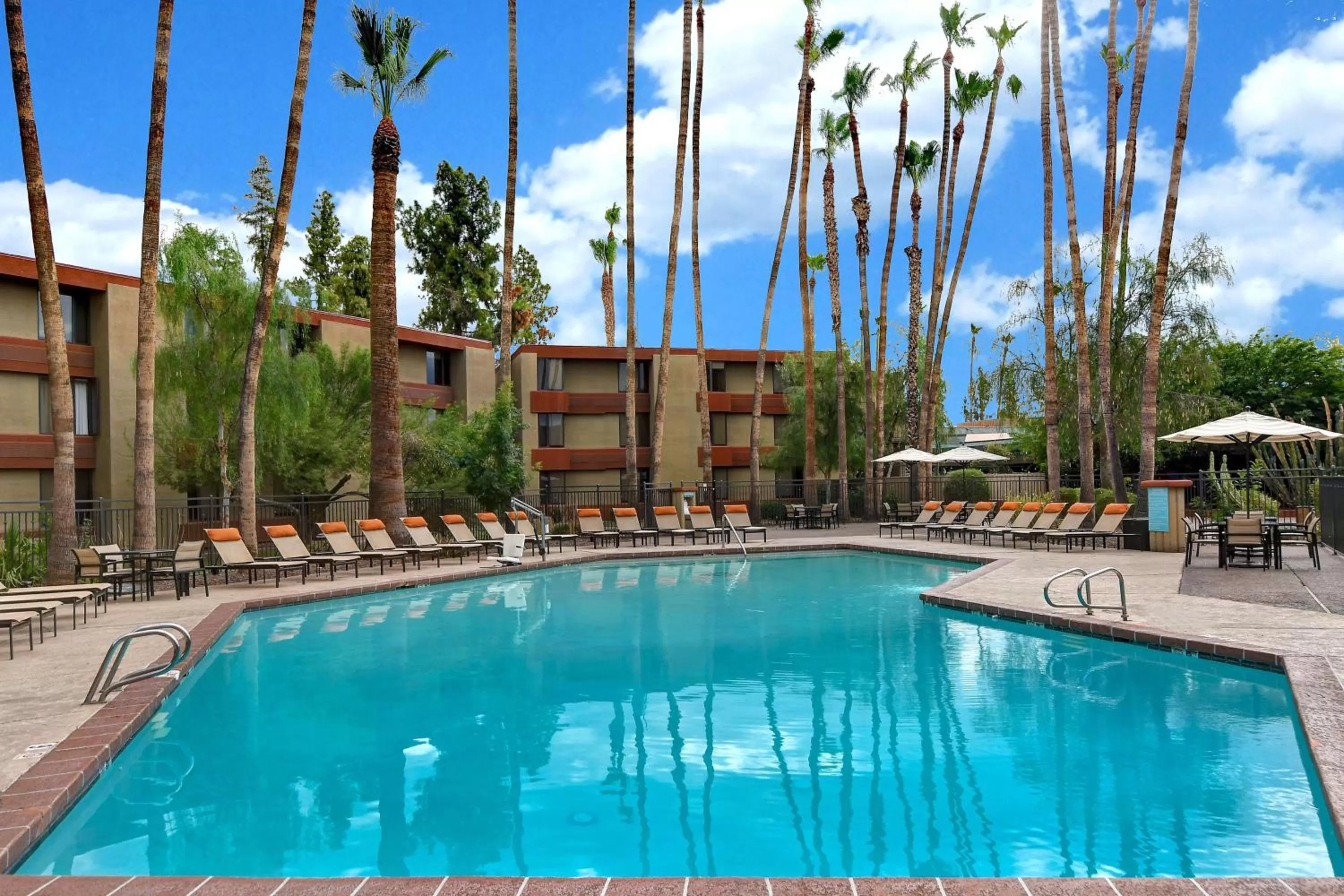 Pool view in DoubleTree by Hilton Phoenix- Tempe