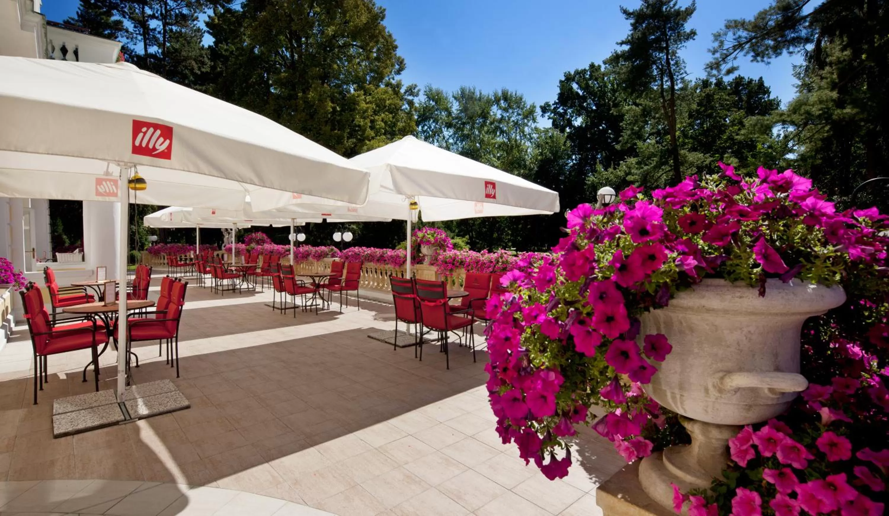 Restaurant/places to eat in Imperial Spa & Kurhotel