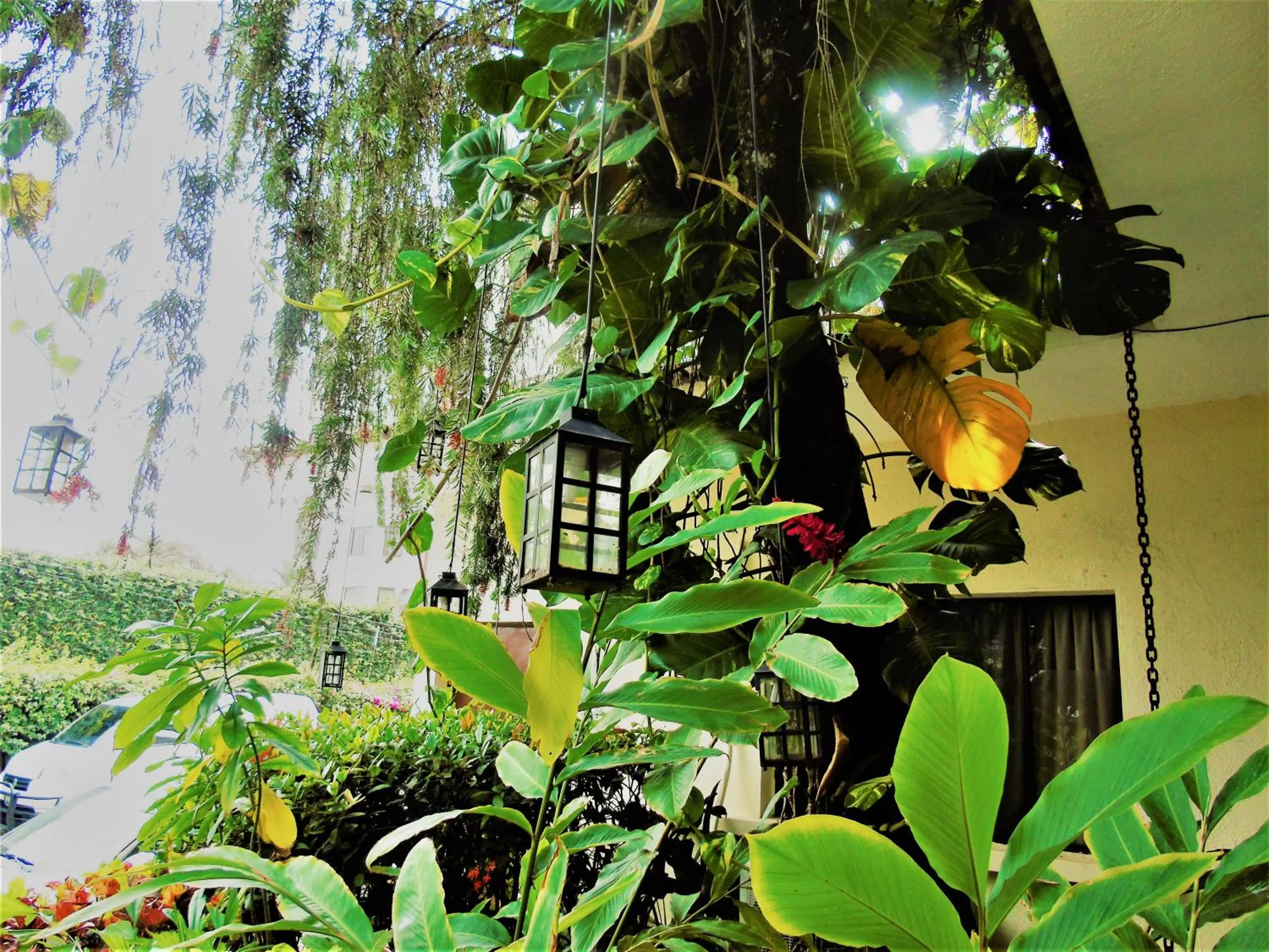 Las Magnolias Hotel Boutique