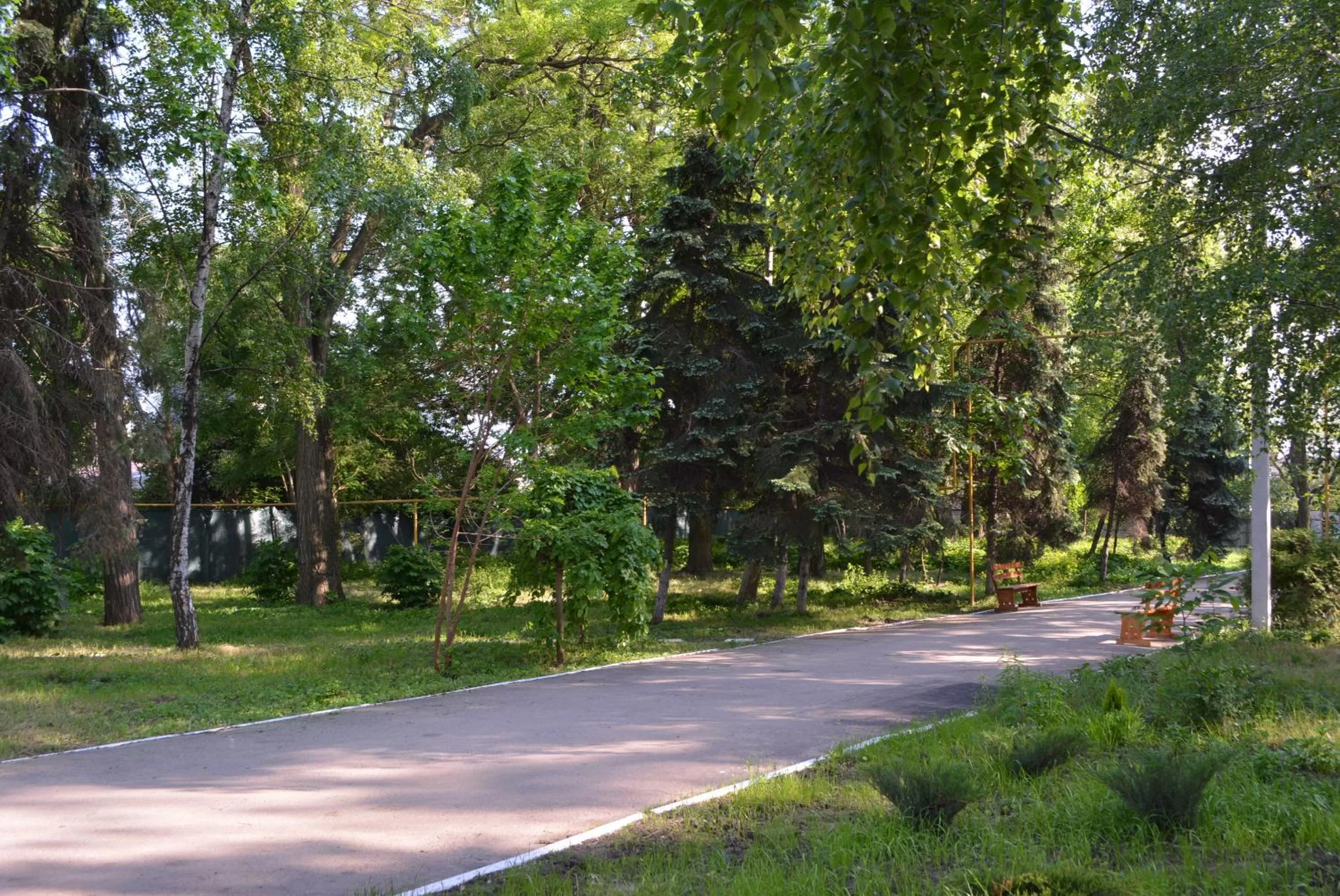 On site in Zelenyi Kampus