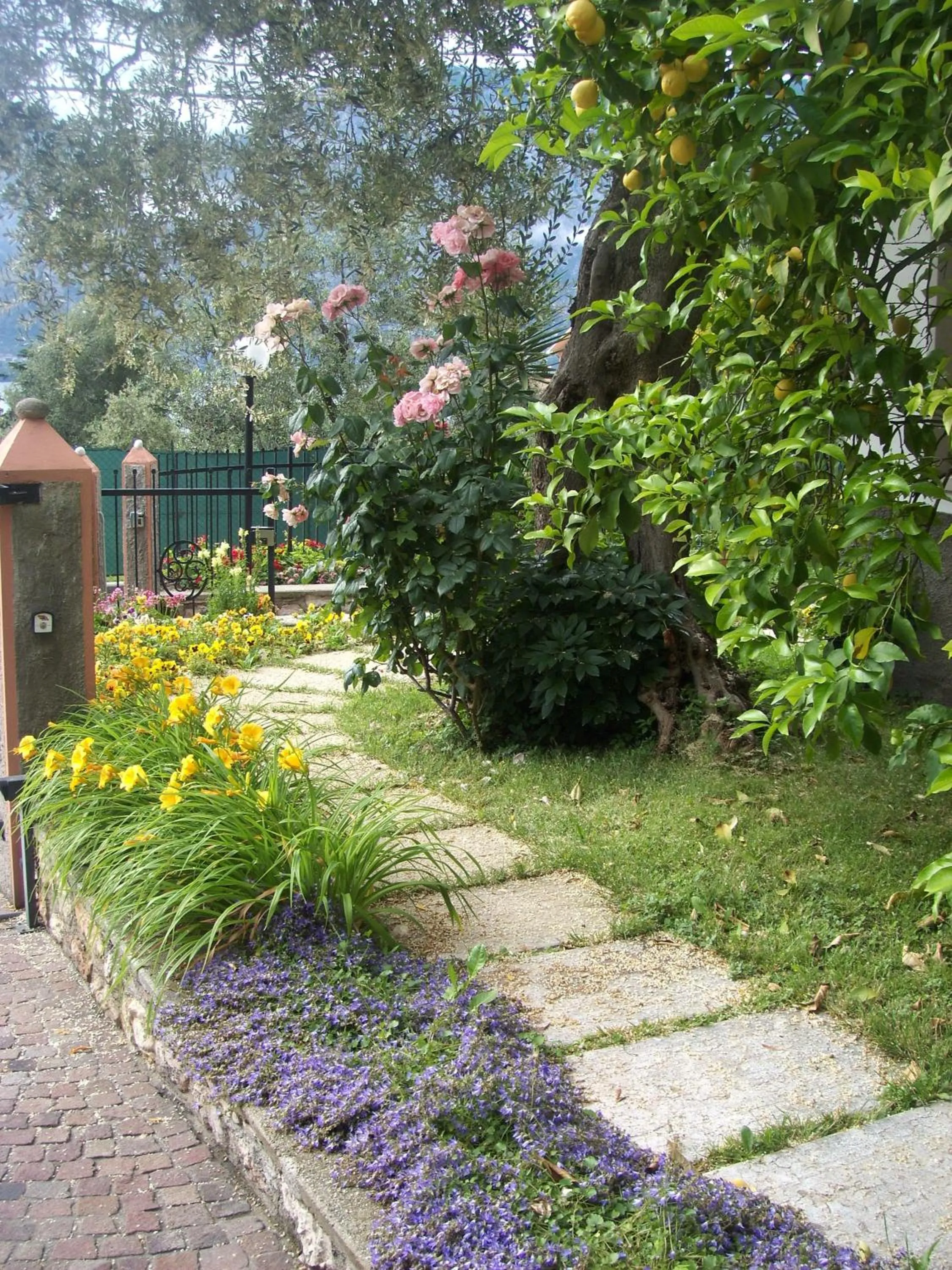 Garden in Garnì Casa Rabagno