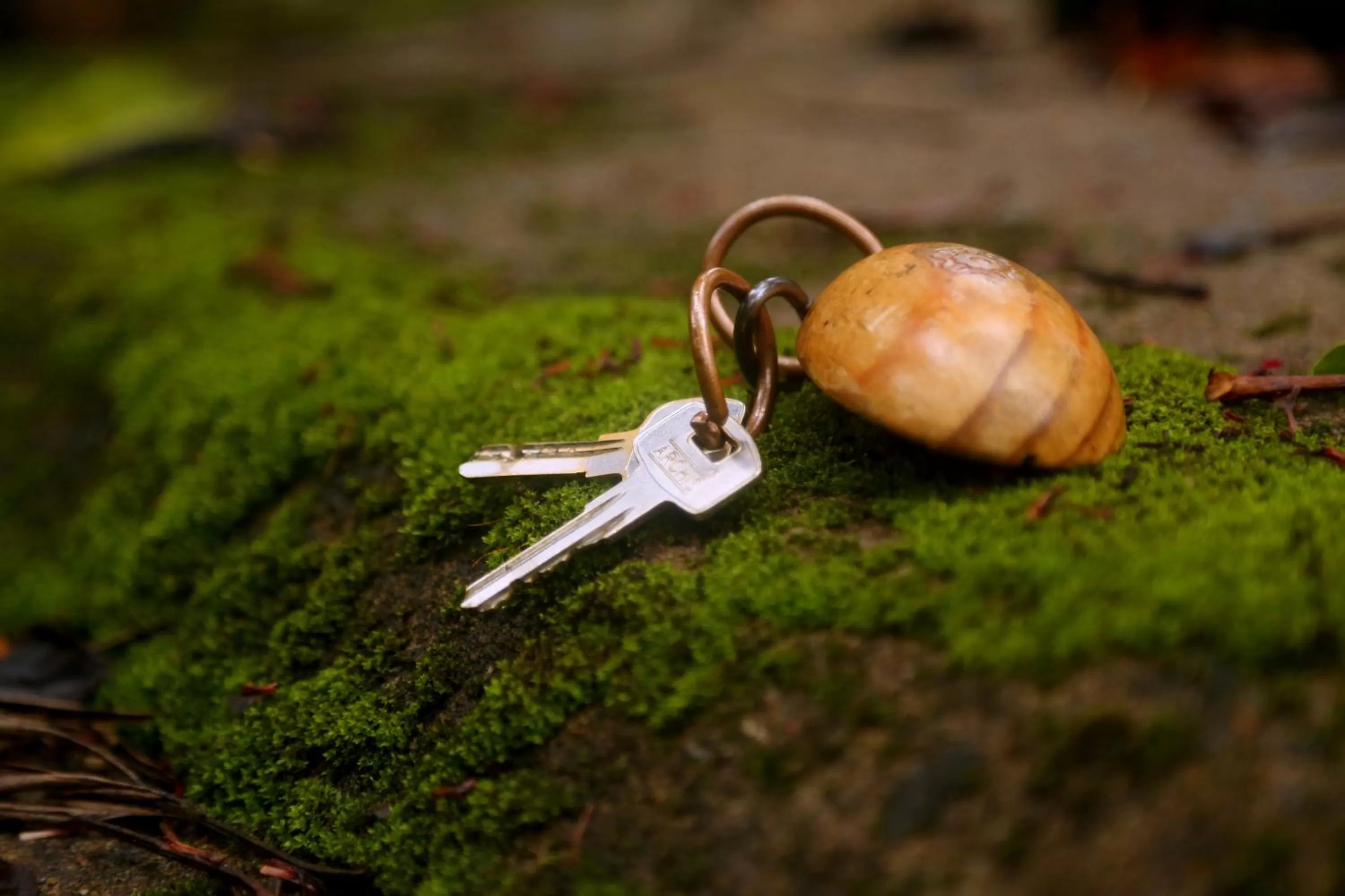 Other in Old Kent Estates & Spa, Coorg