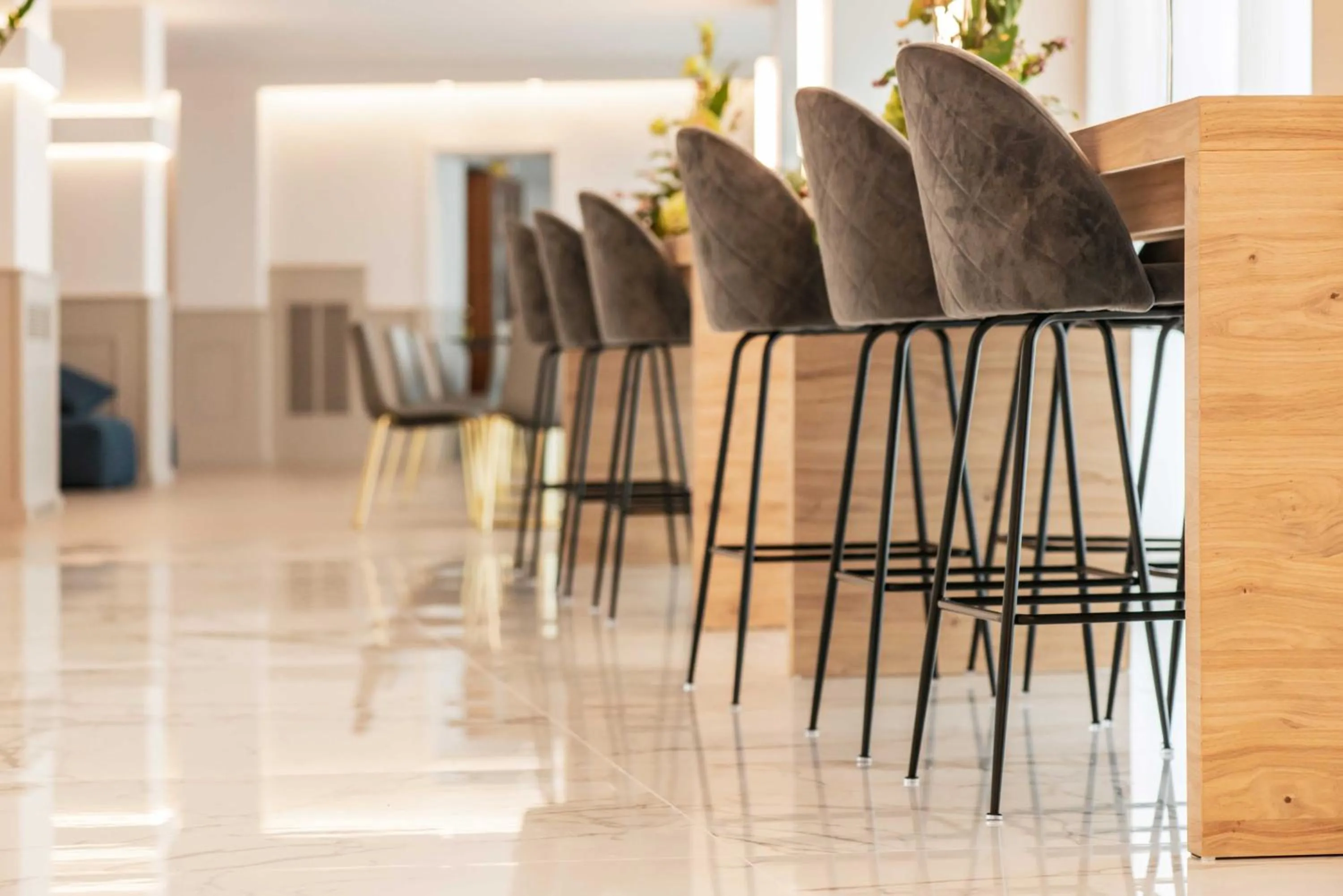 Lounge or bar in Phi Hotel Cavalieri