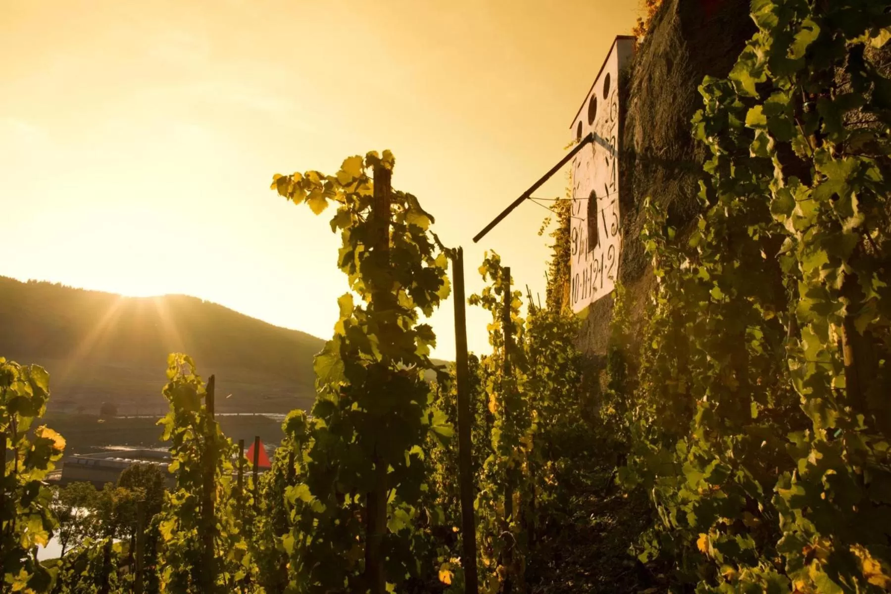 Other in Rochter Landhotel