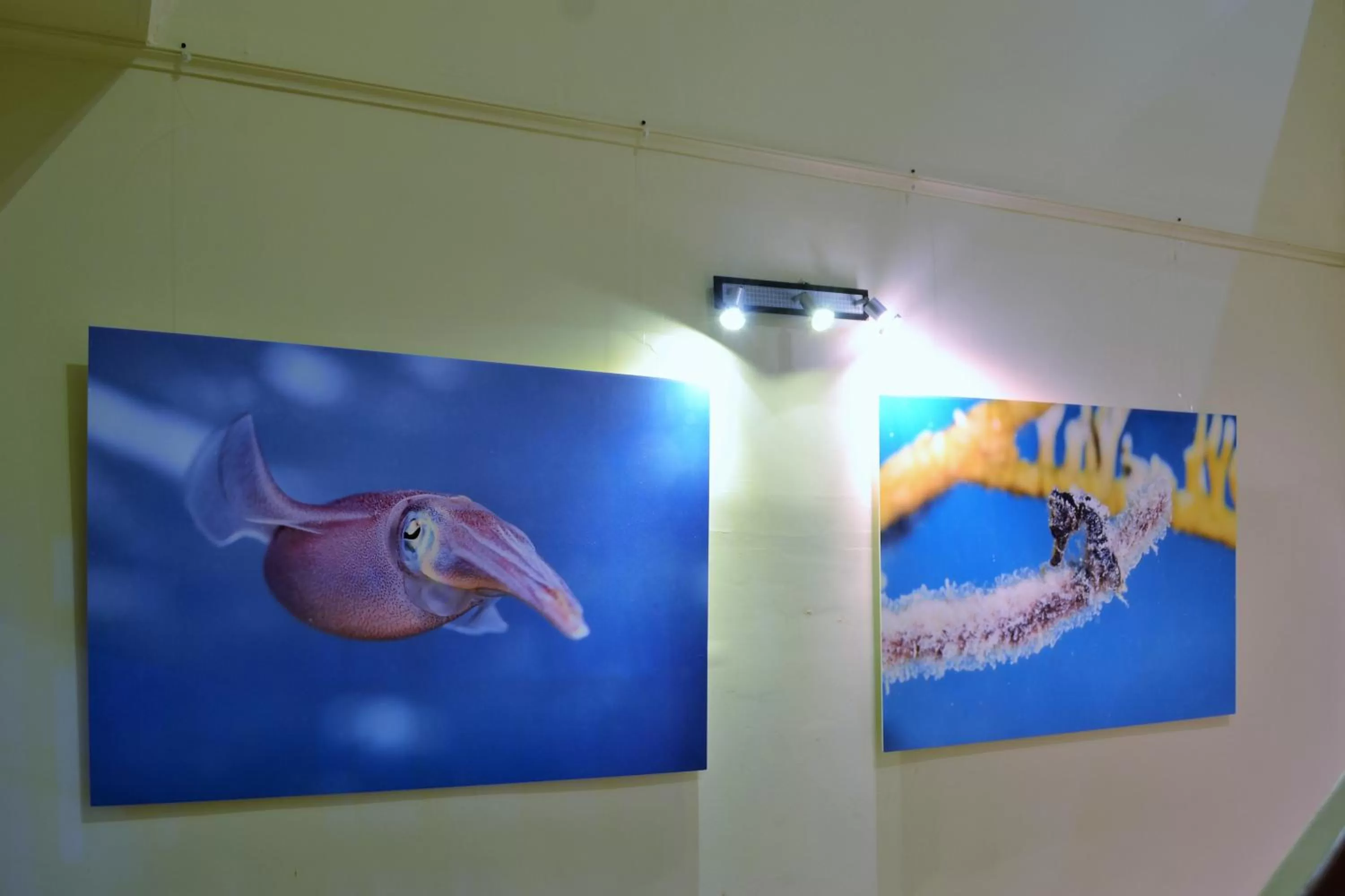 Property building in Boca Simon Vacation Curacao