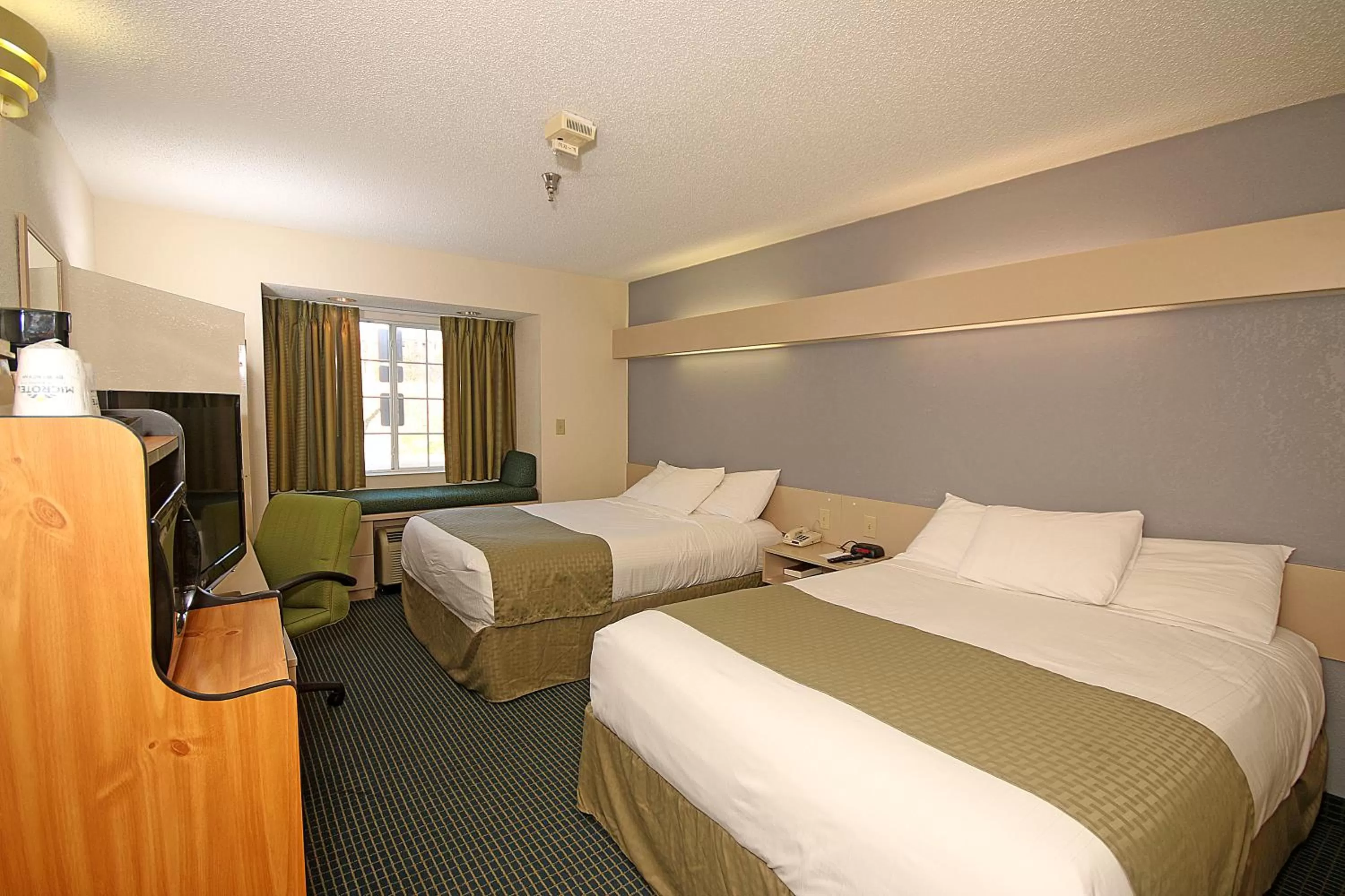TV and multimedia, Bed in Microtel Inn & Suites by Wyndham Statesville