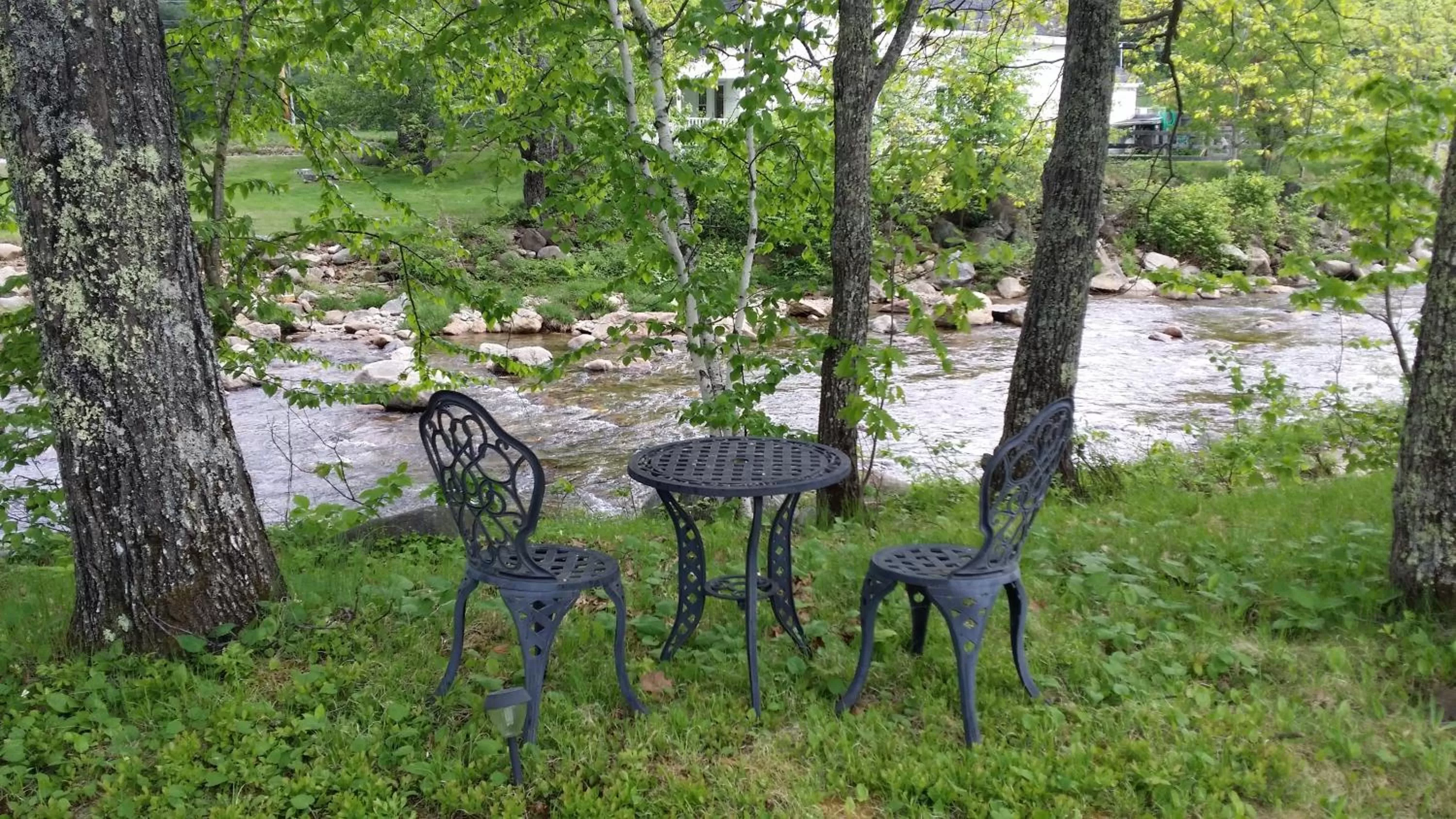River view in The Lodge at Jackson Village