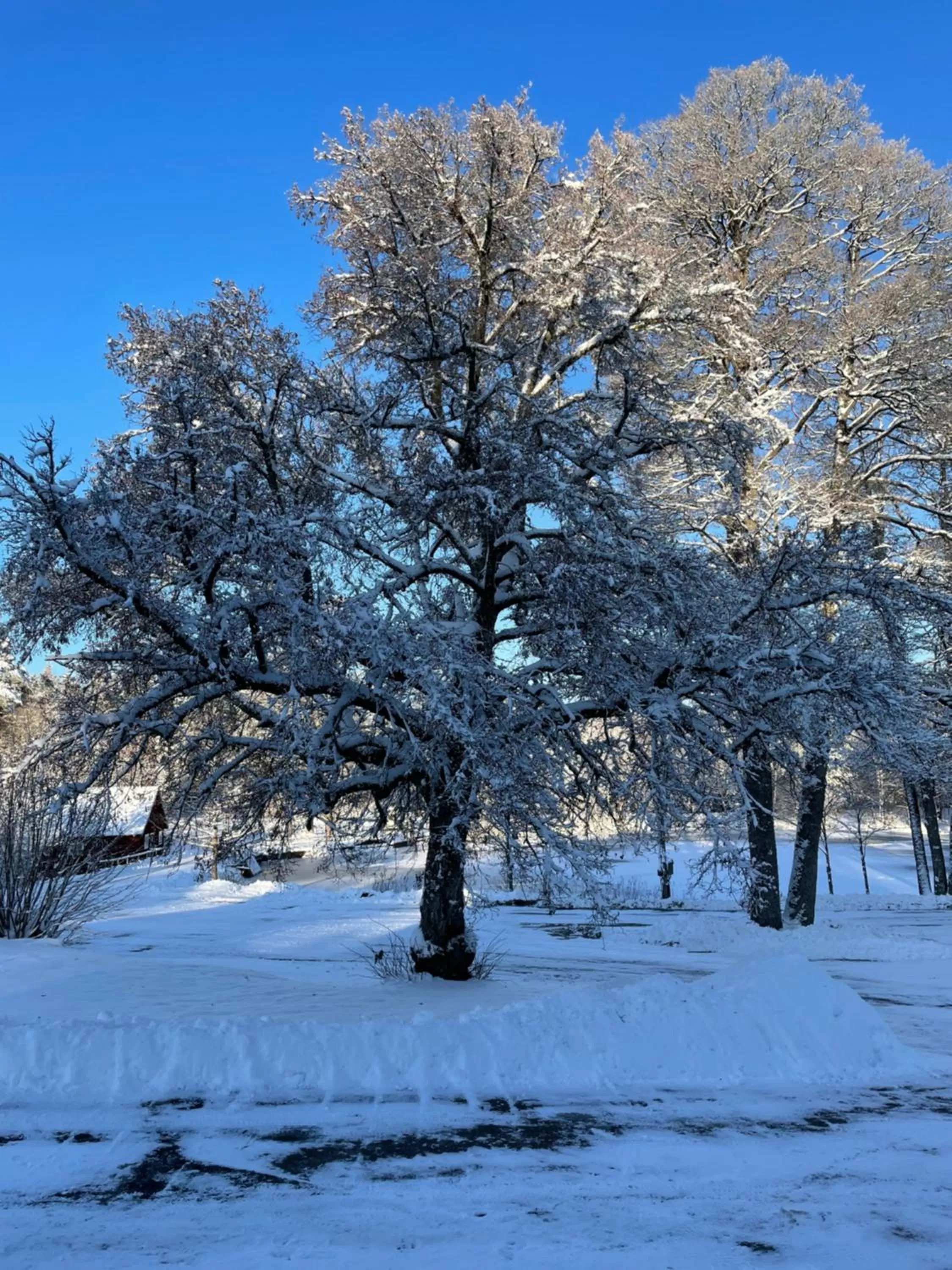 Winter in Yaberg Affären