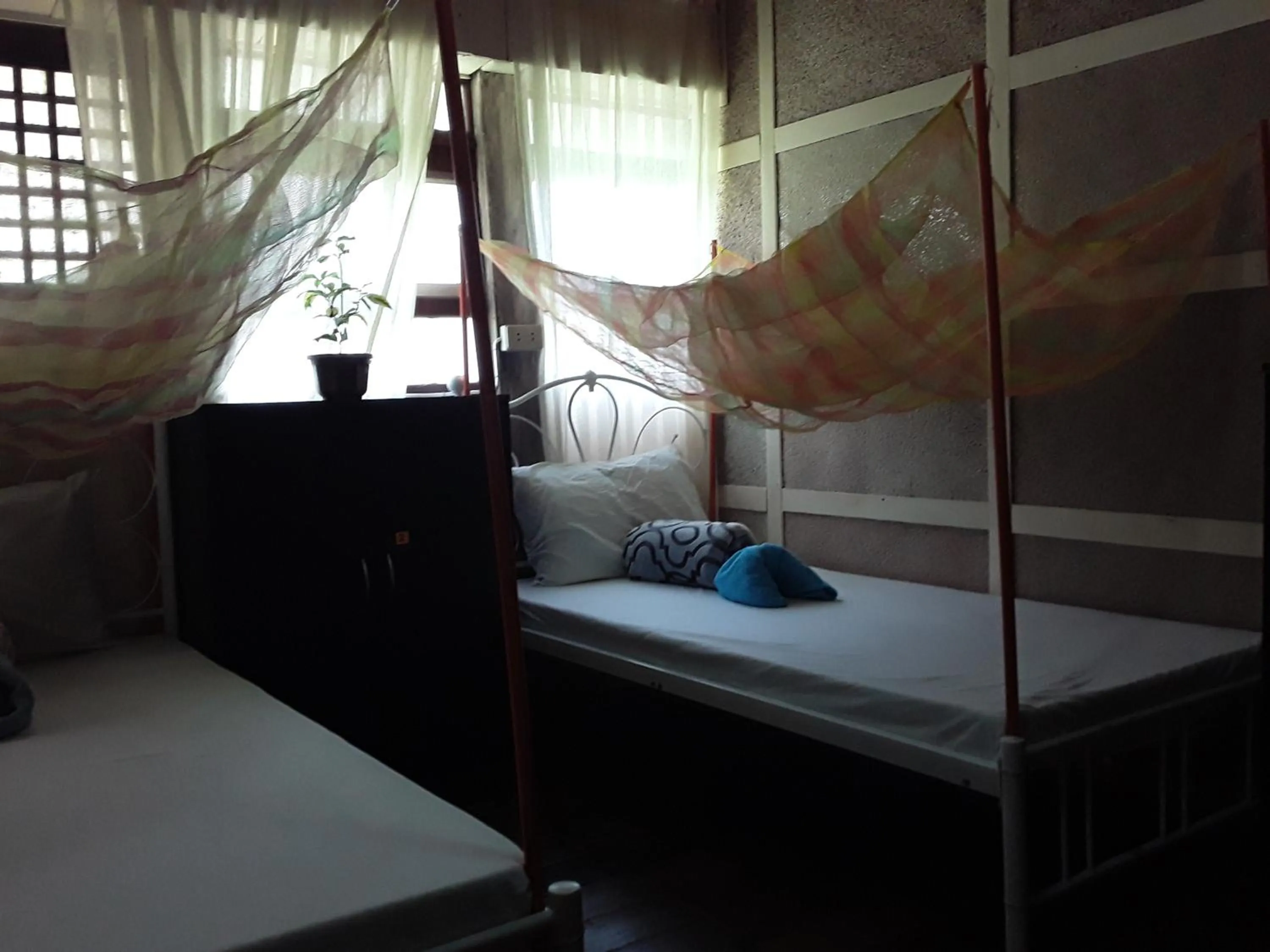 Bed in Oasis Balili Heritage Lodge