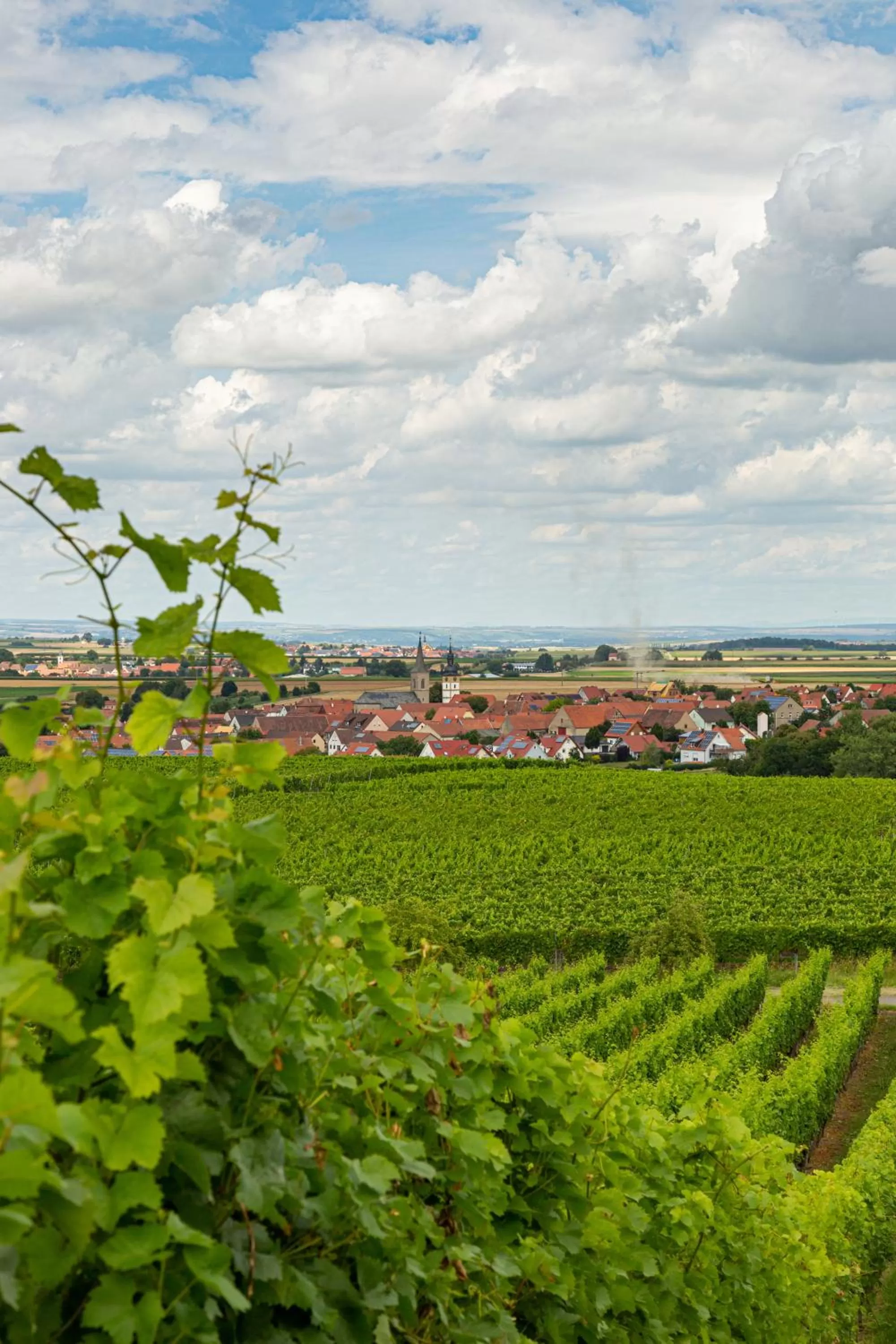 Staff in Landgasthof May
