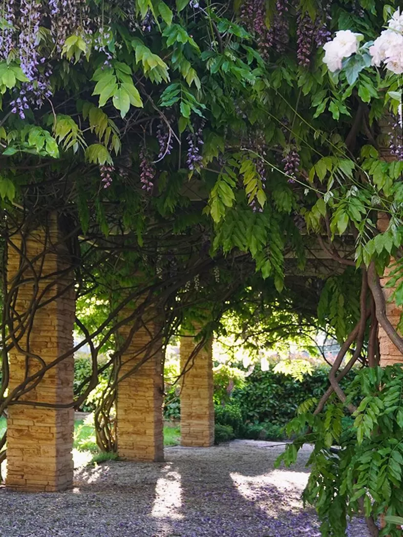 Garden in Howlong Old Post Office Luxury Suite