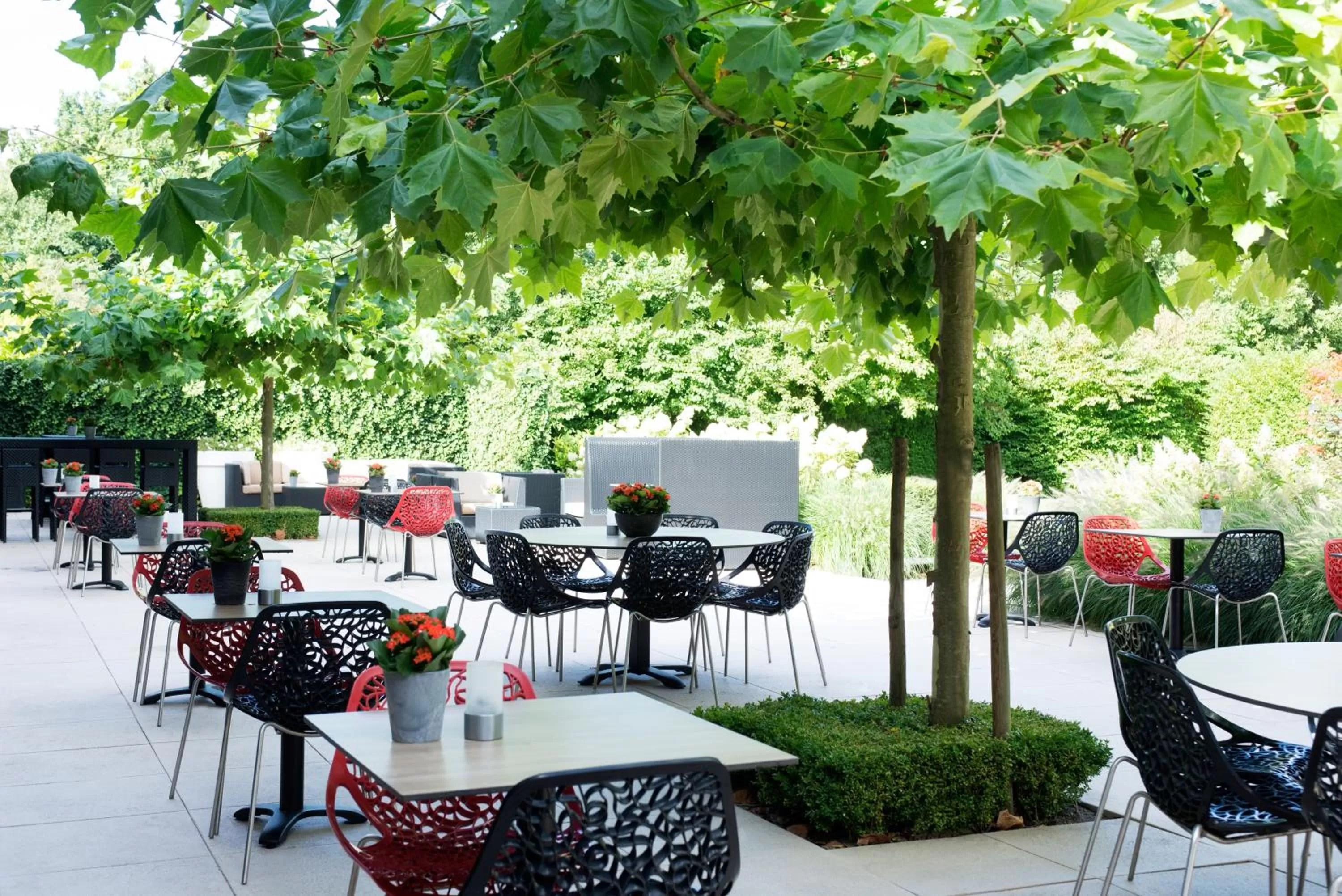 Restaurant/places to eat in Novotel Rotterdam - Schiedam