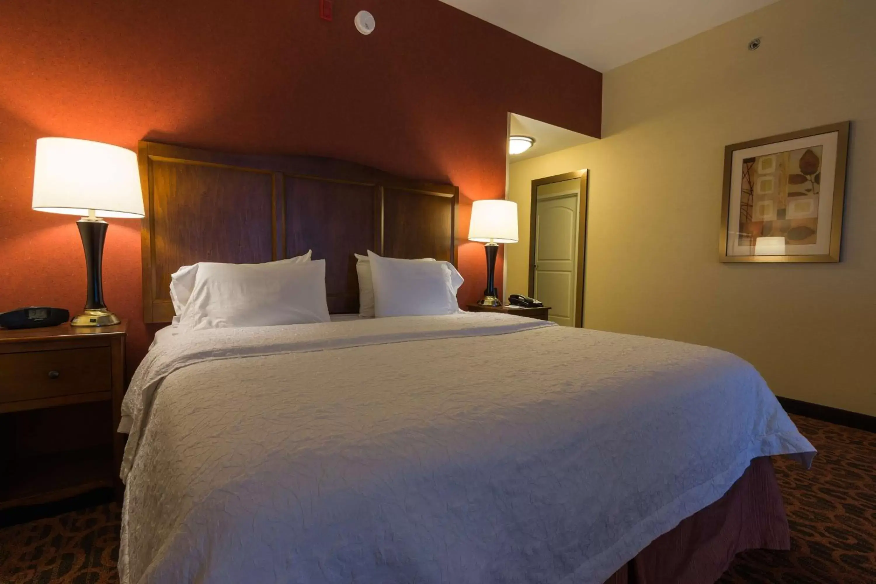 King Room with King Bed - Non-Smoking in Hampton Inn Bangor King Room with King Bed - Non-Smoking in Hampton Inn Bangor