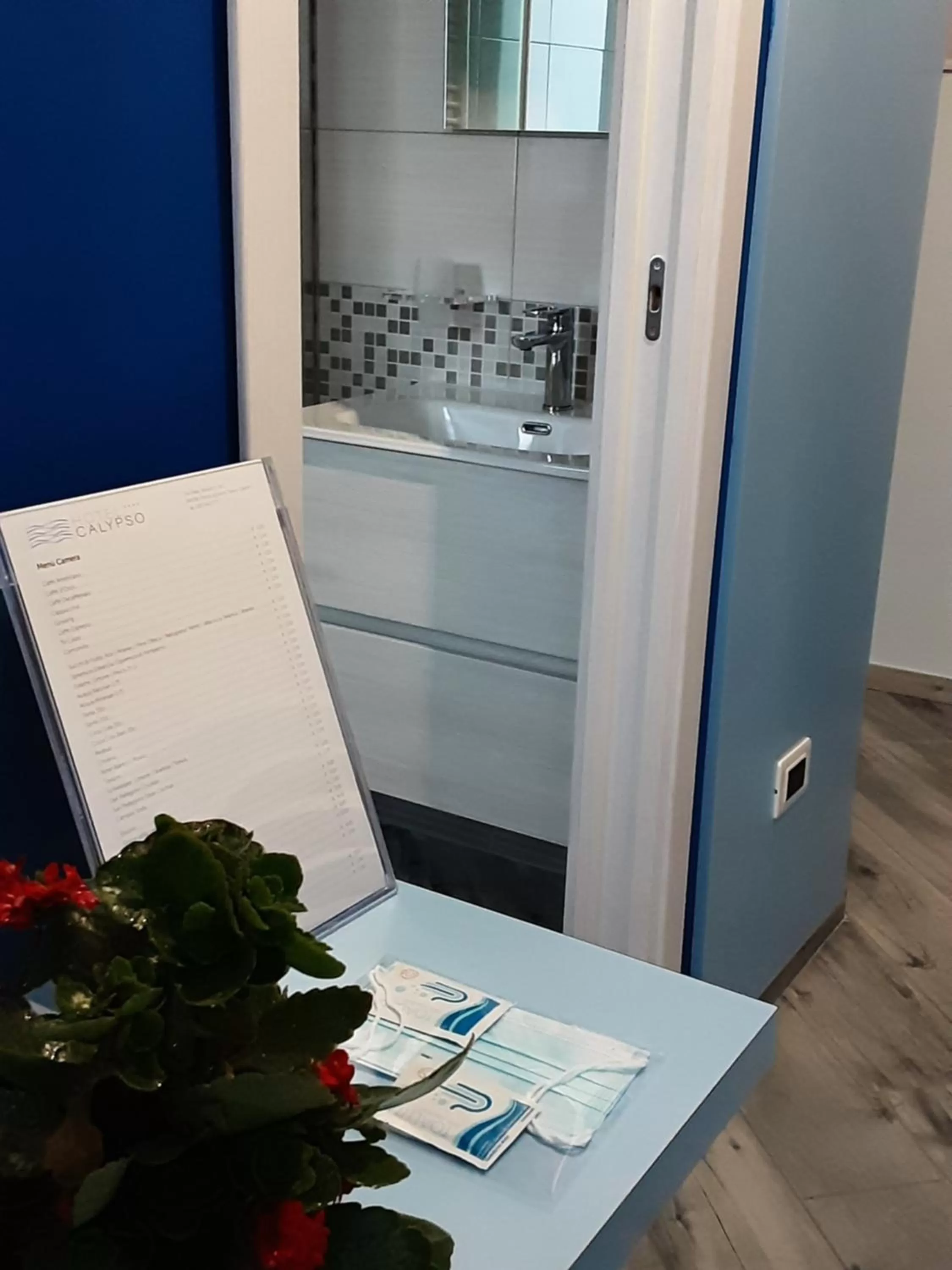 View (from property/room) in Hotel Calypso