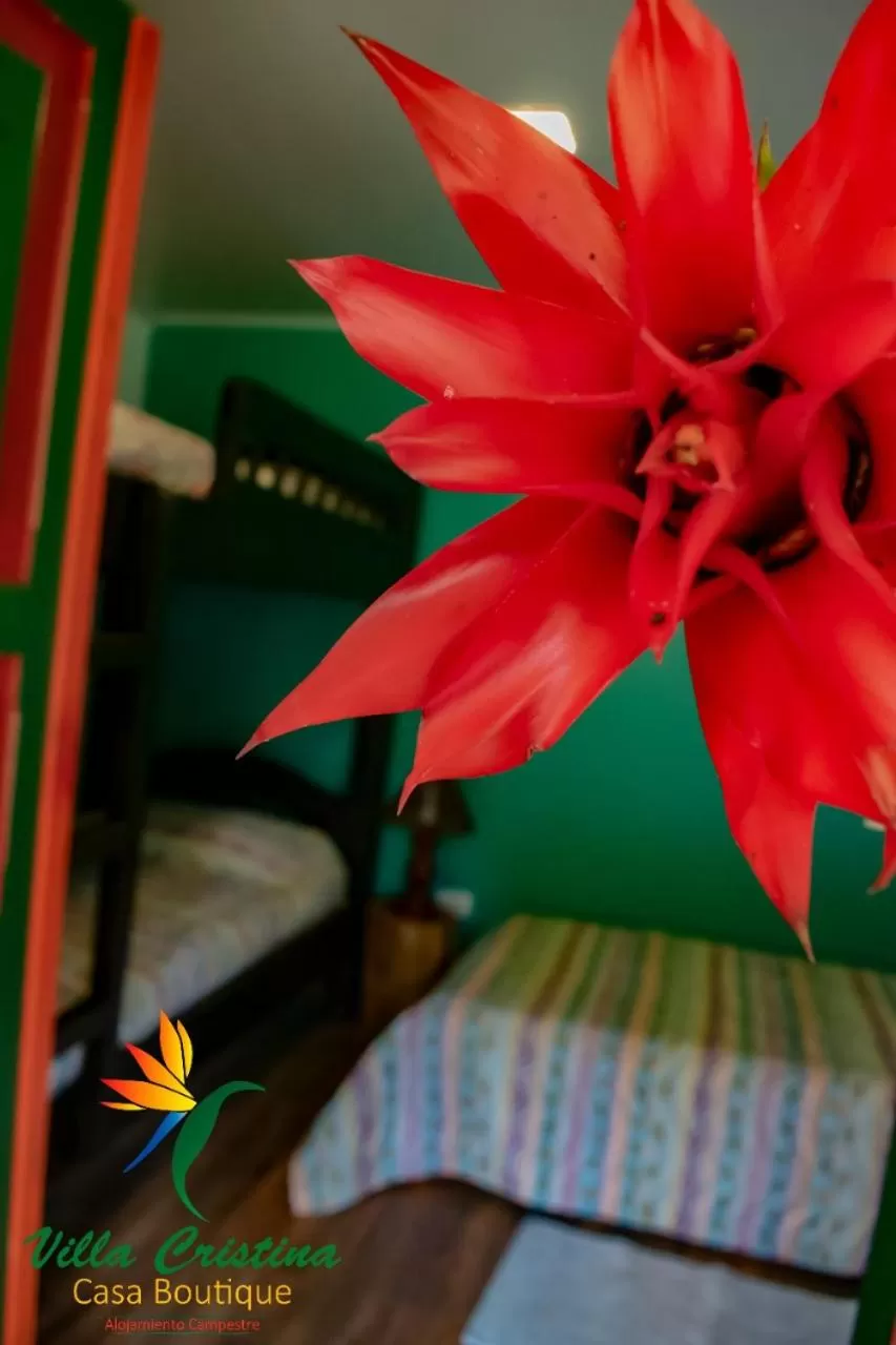 Photo of the whole room in Villa Cristina - Casa Boutique