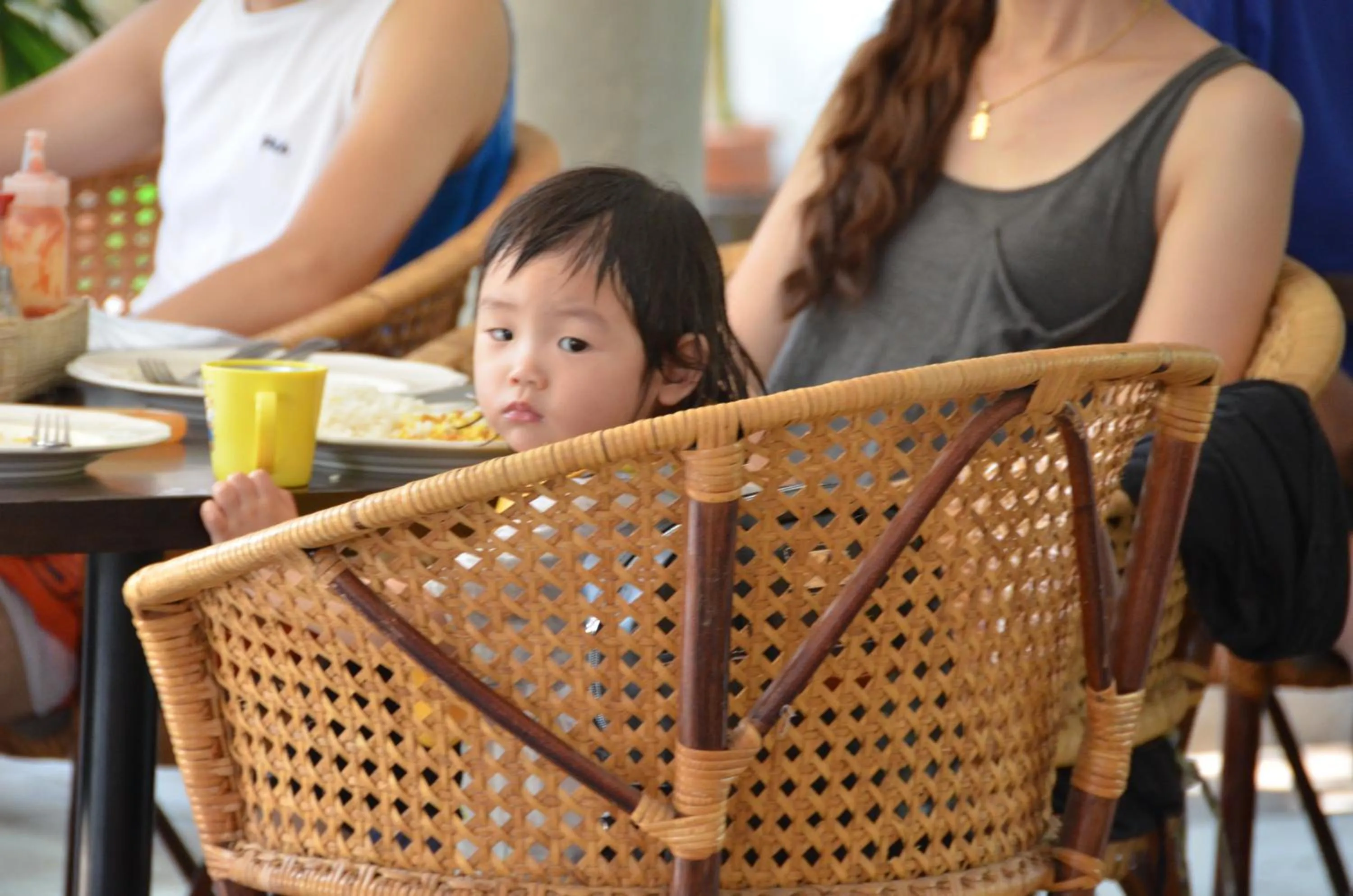 Restaurant/places to eat in Lamphu House Chiang Mai