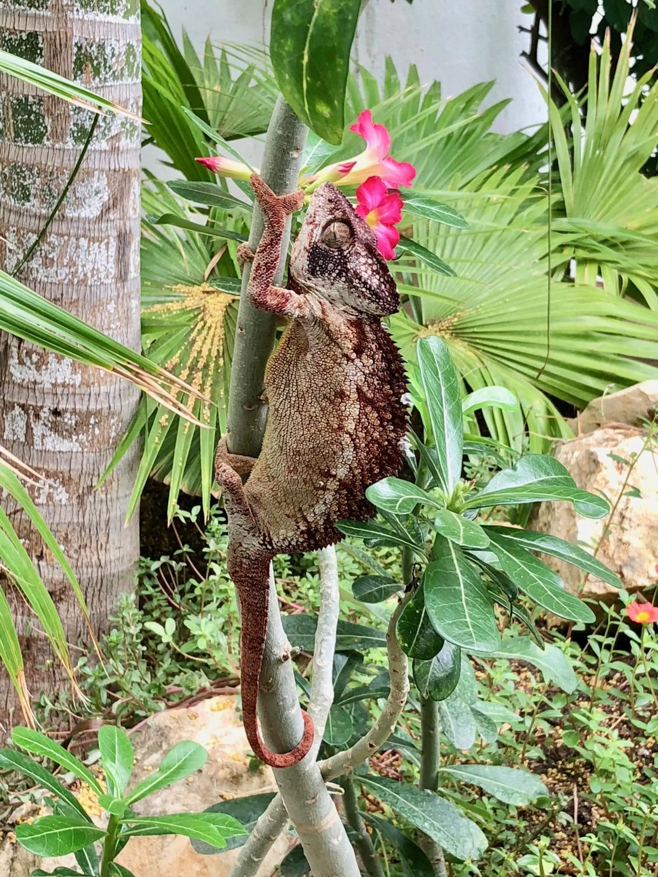 Other in PAP'S Chambres d'Hôtes