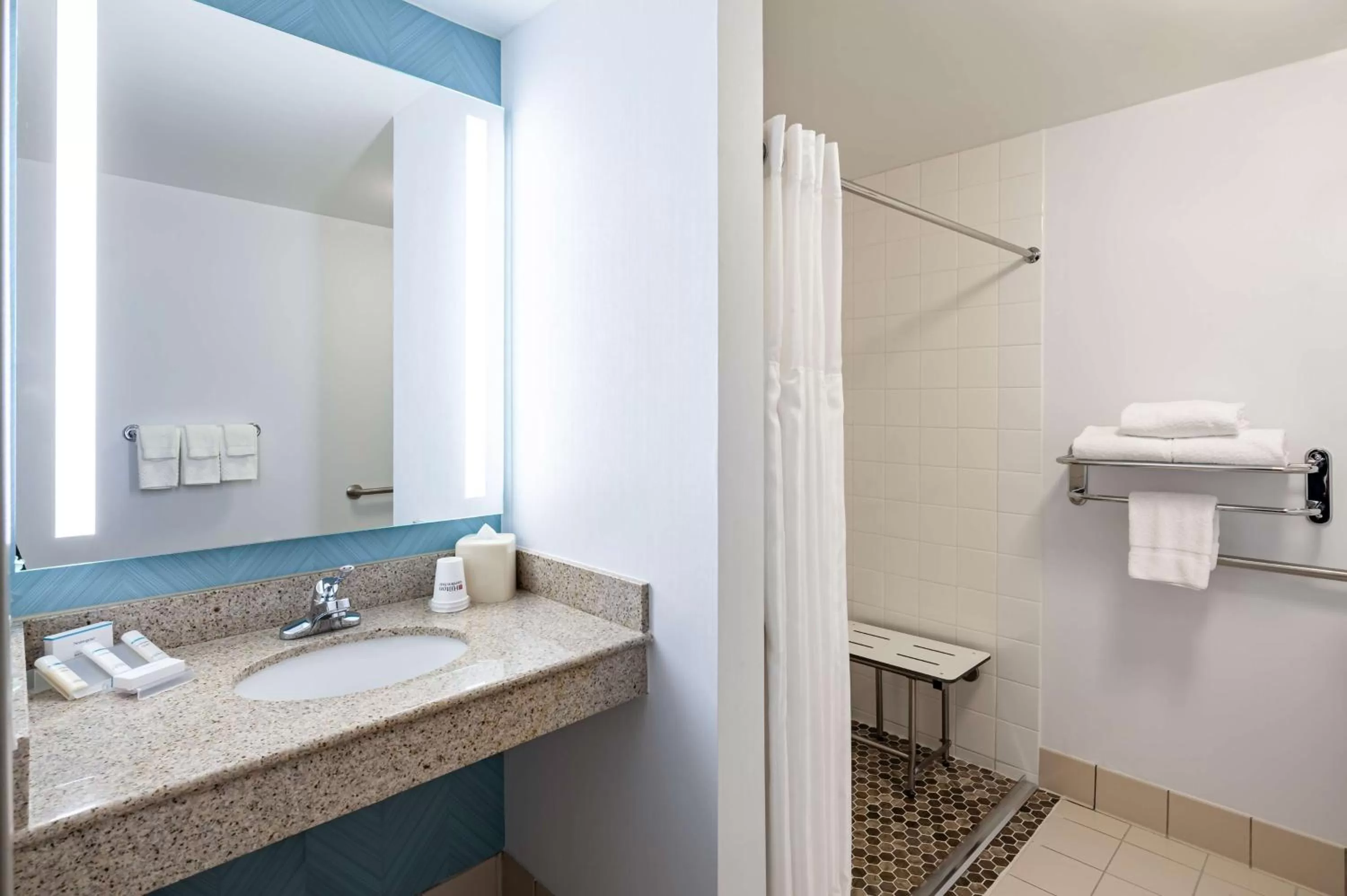 Bathroom in Hilton Garden Inn Chicago O'Hare Airport