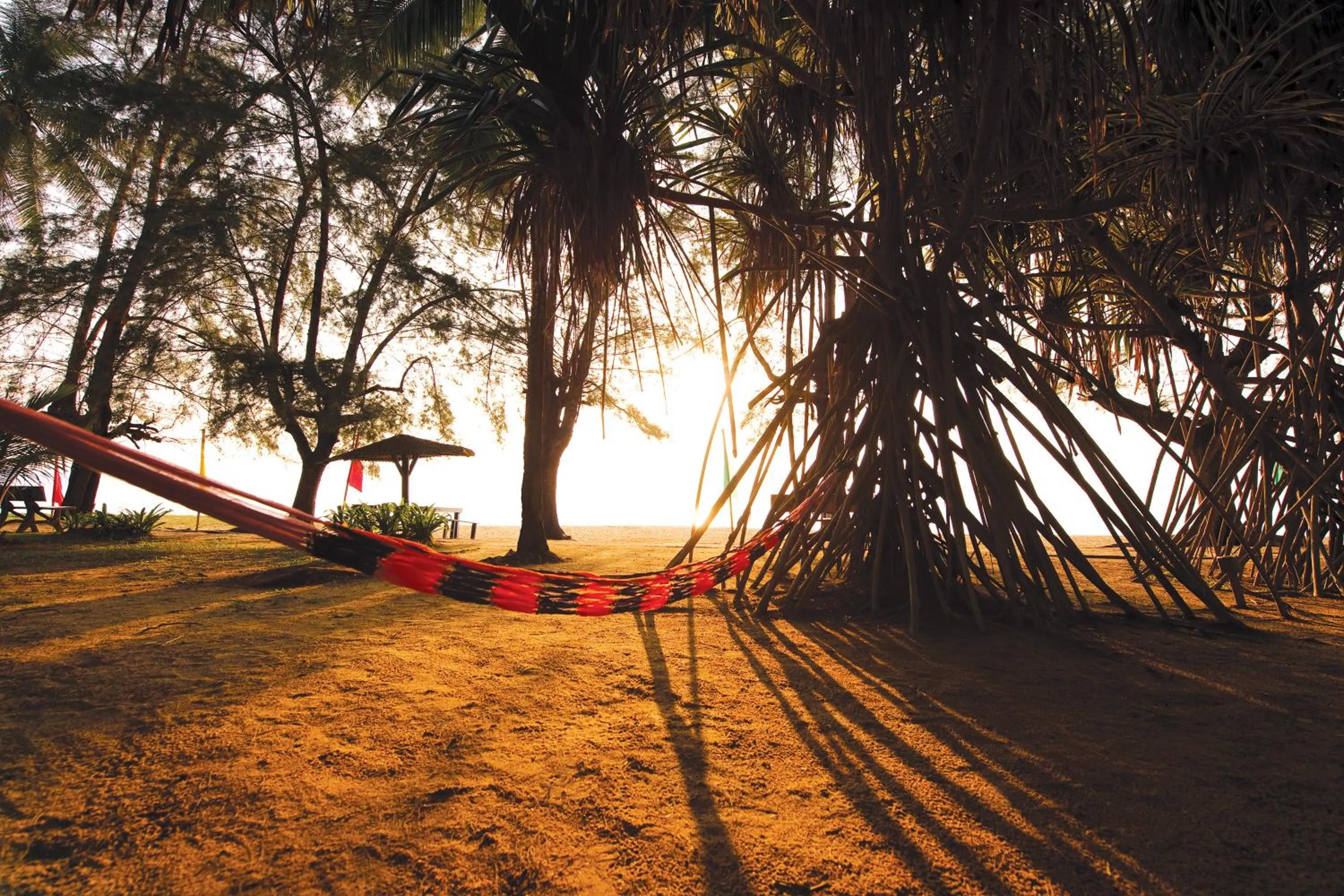 View (from property/room) in The Qamar Paka, Terengganu