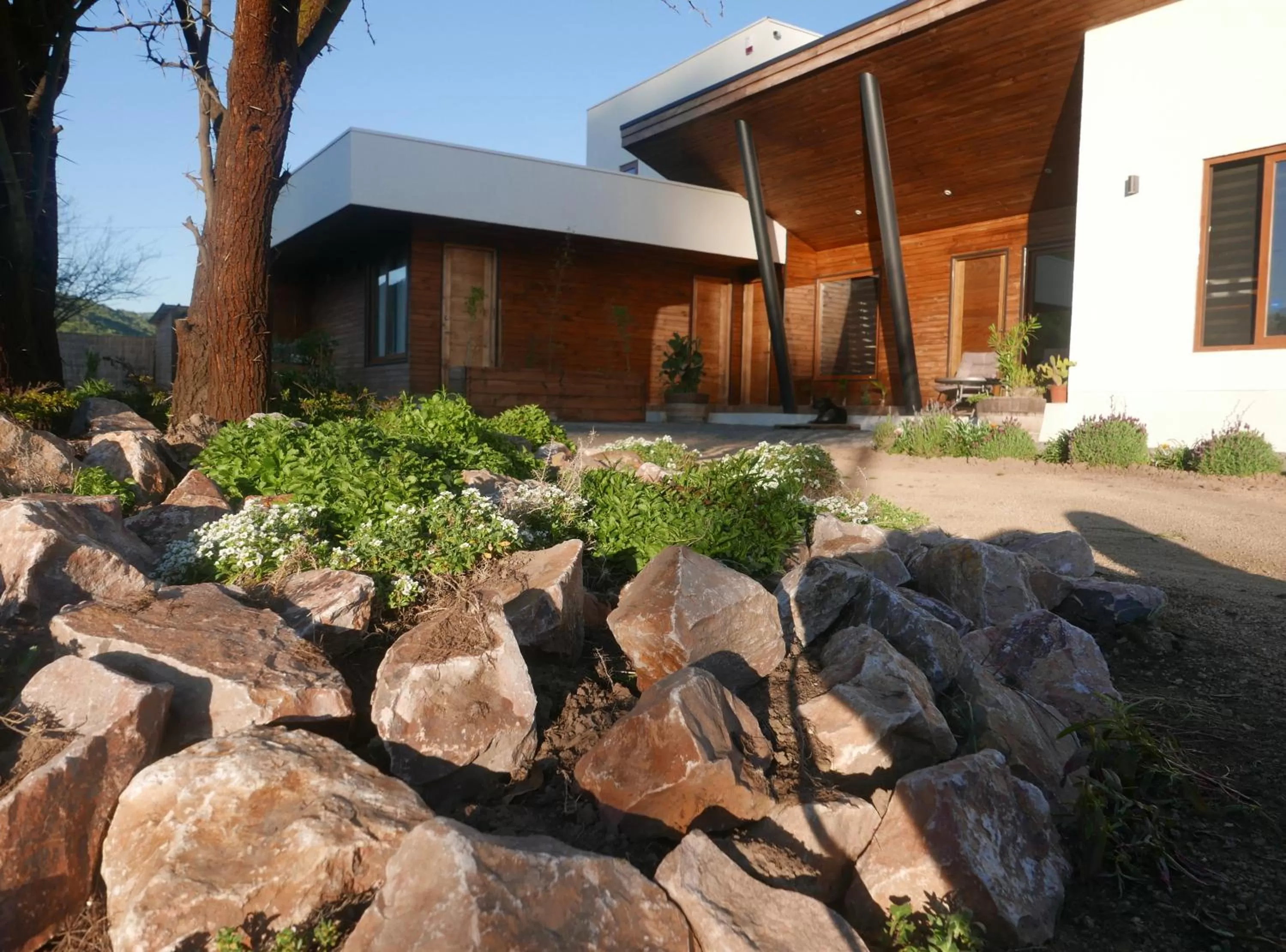 Garden in Callihue Lodge