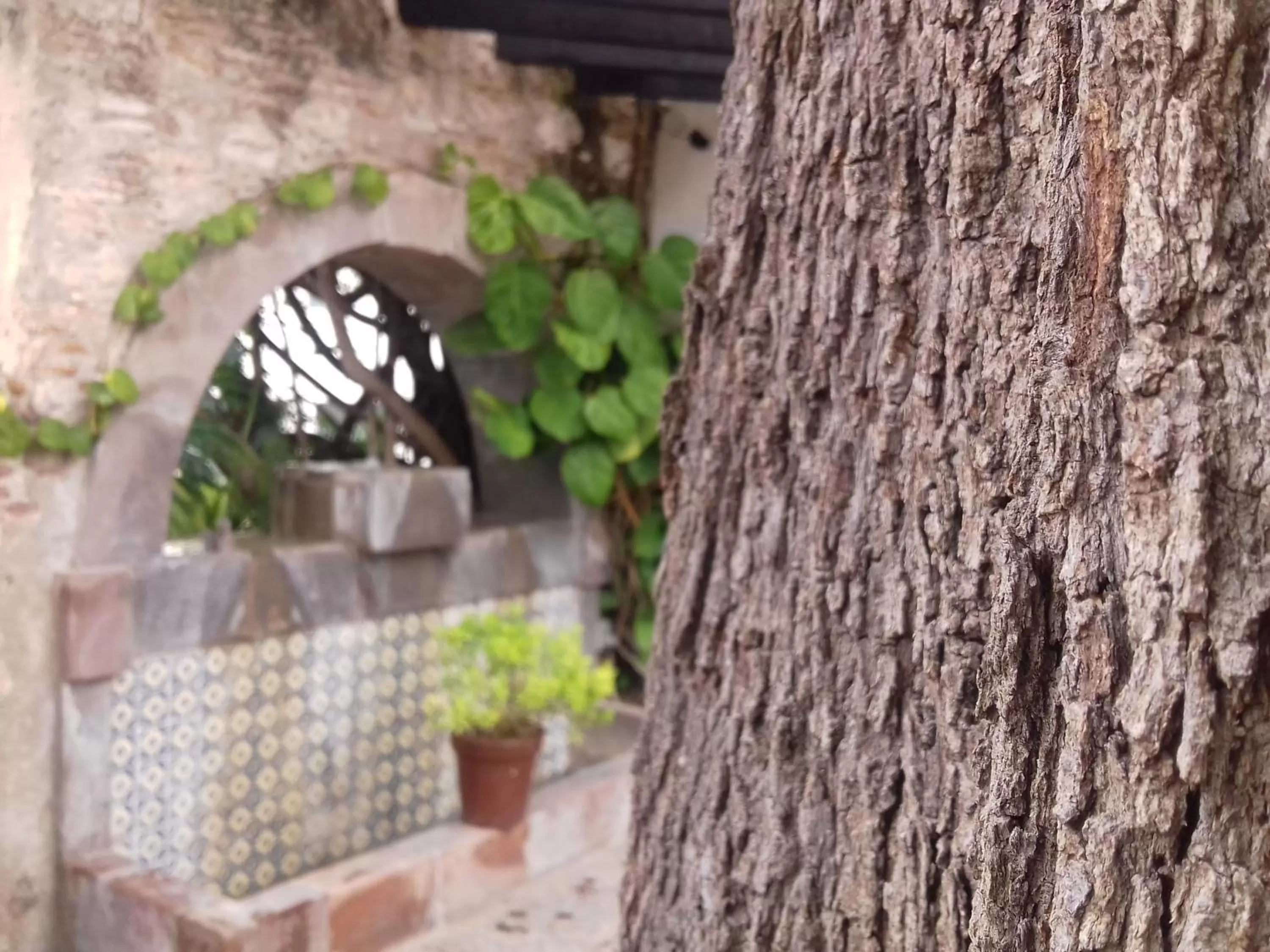 On site, Patio/Outdoor Area in Hotel & Spa Doña Urraca San Miguel De Allende