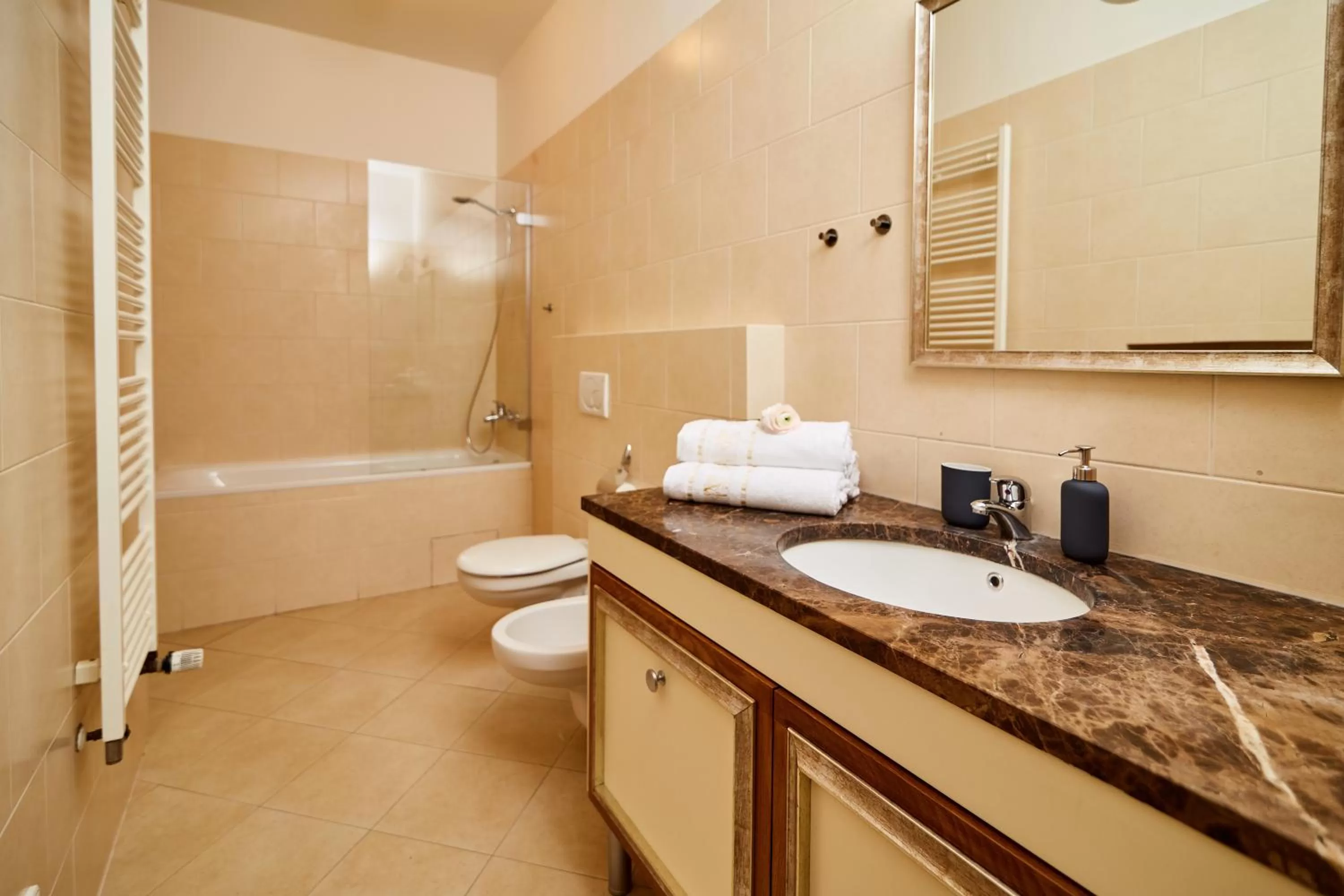 Shower in Three Golden Crowns Apartments