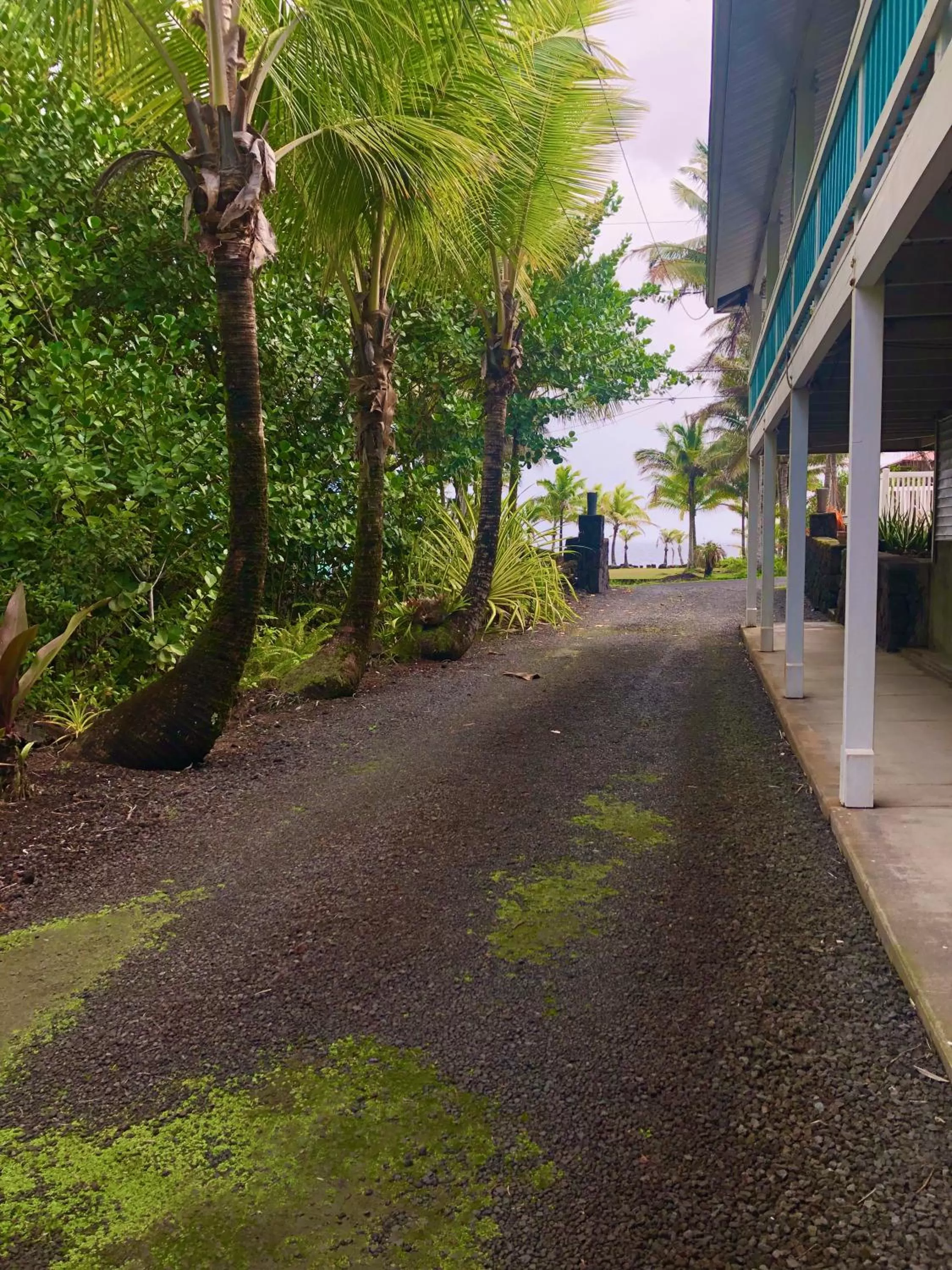 Sea view in Ala Kai Bed and Breakfast